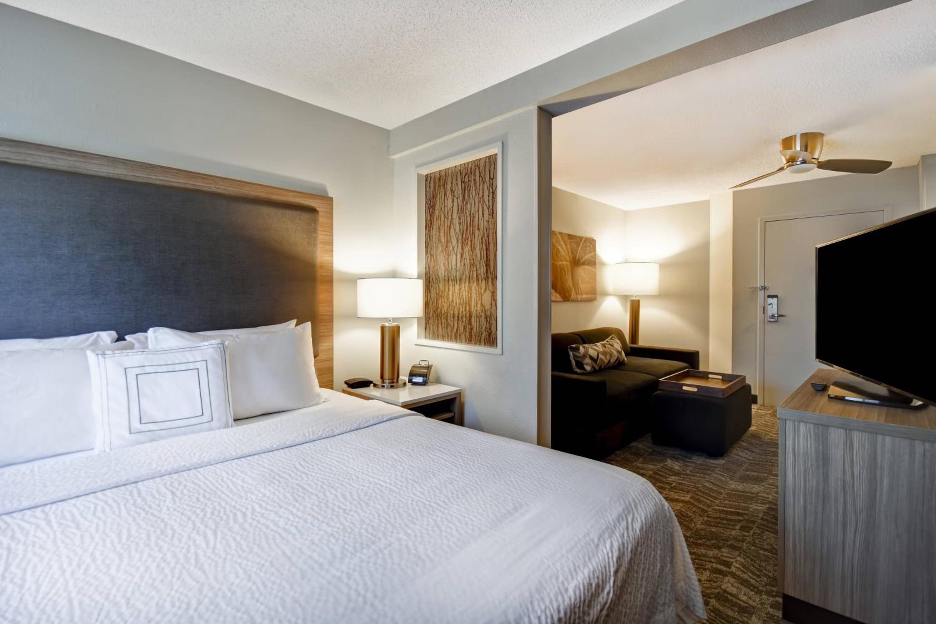 King Suite with Sofa Bed - Photo 7