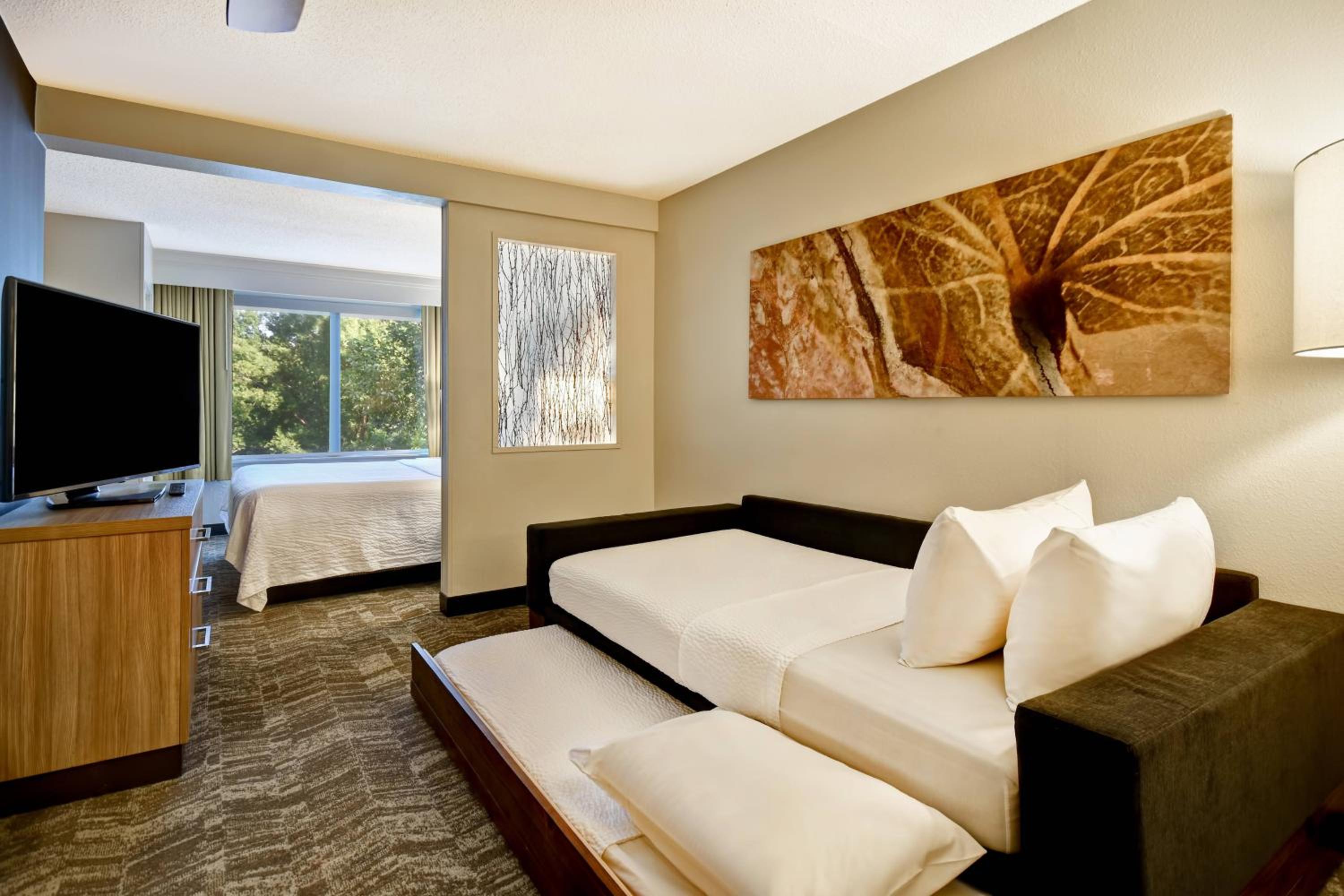 King Suite with Sofa Bed - Photo 4