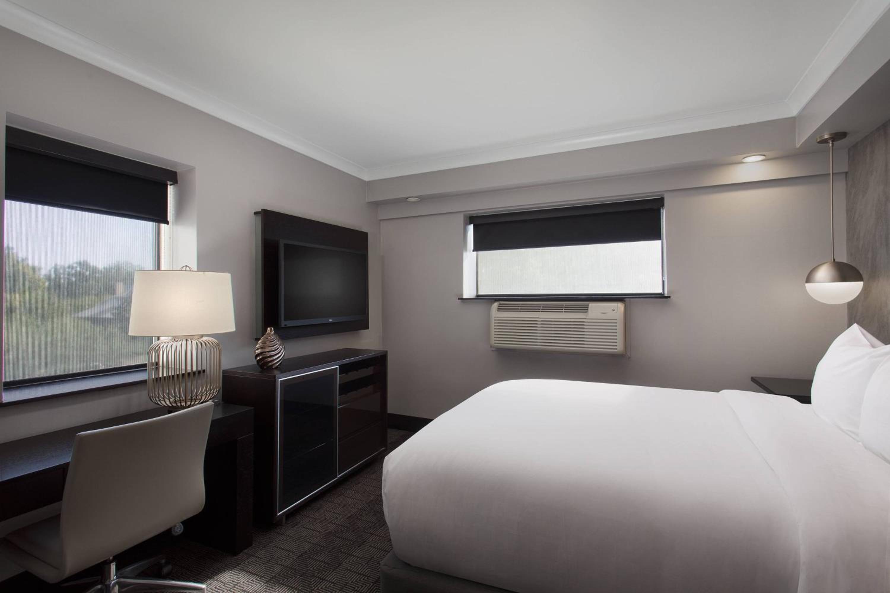 1 Bedroom Executive Suite, 1 Queen, Sofa bed photo 1
