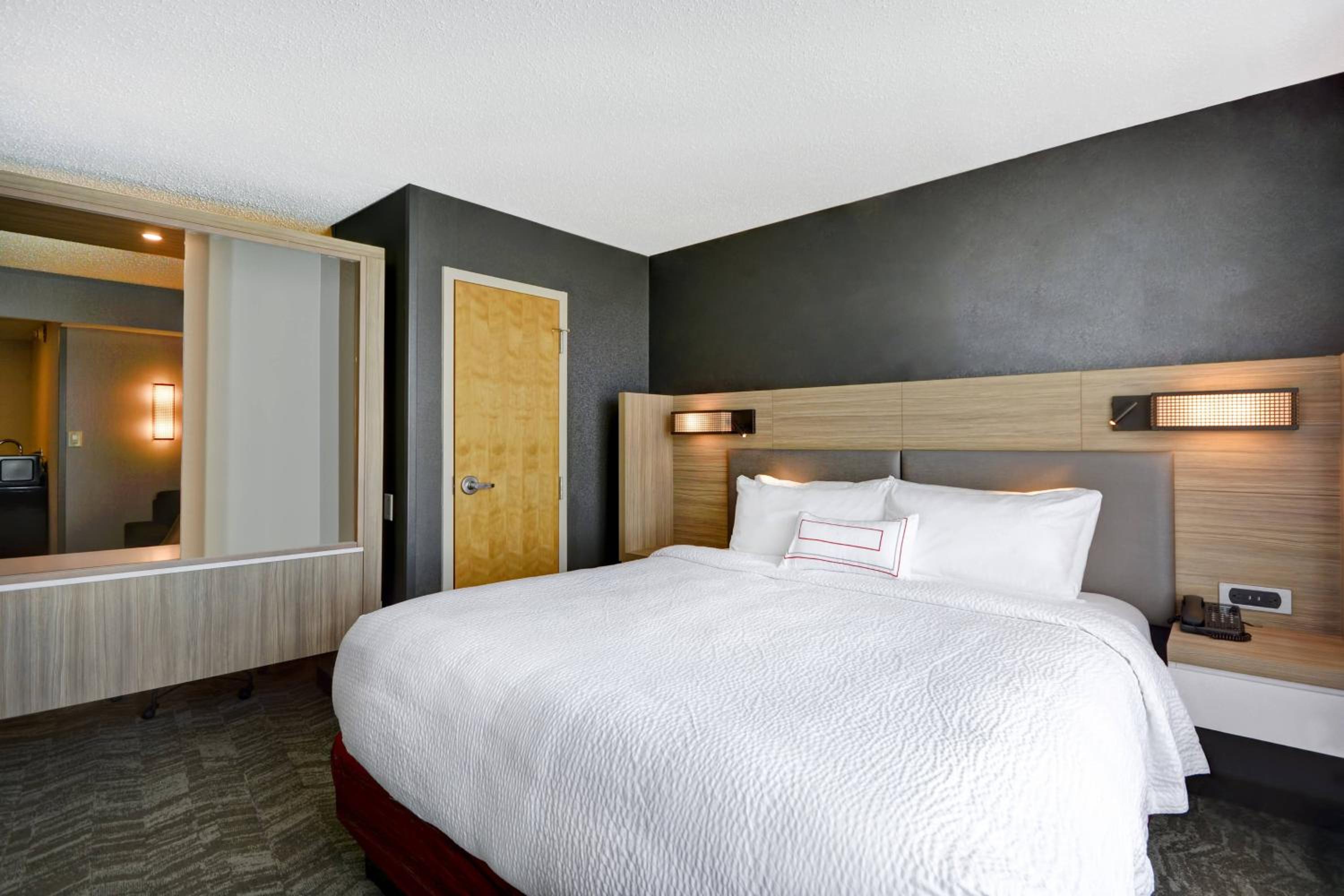 Suite, 1 King, Sofa bed - Photo 3
