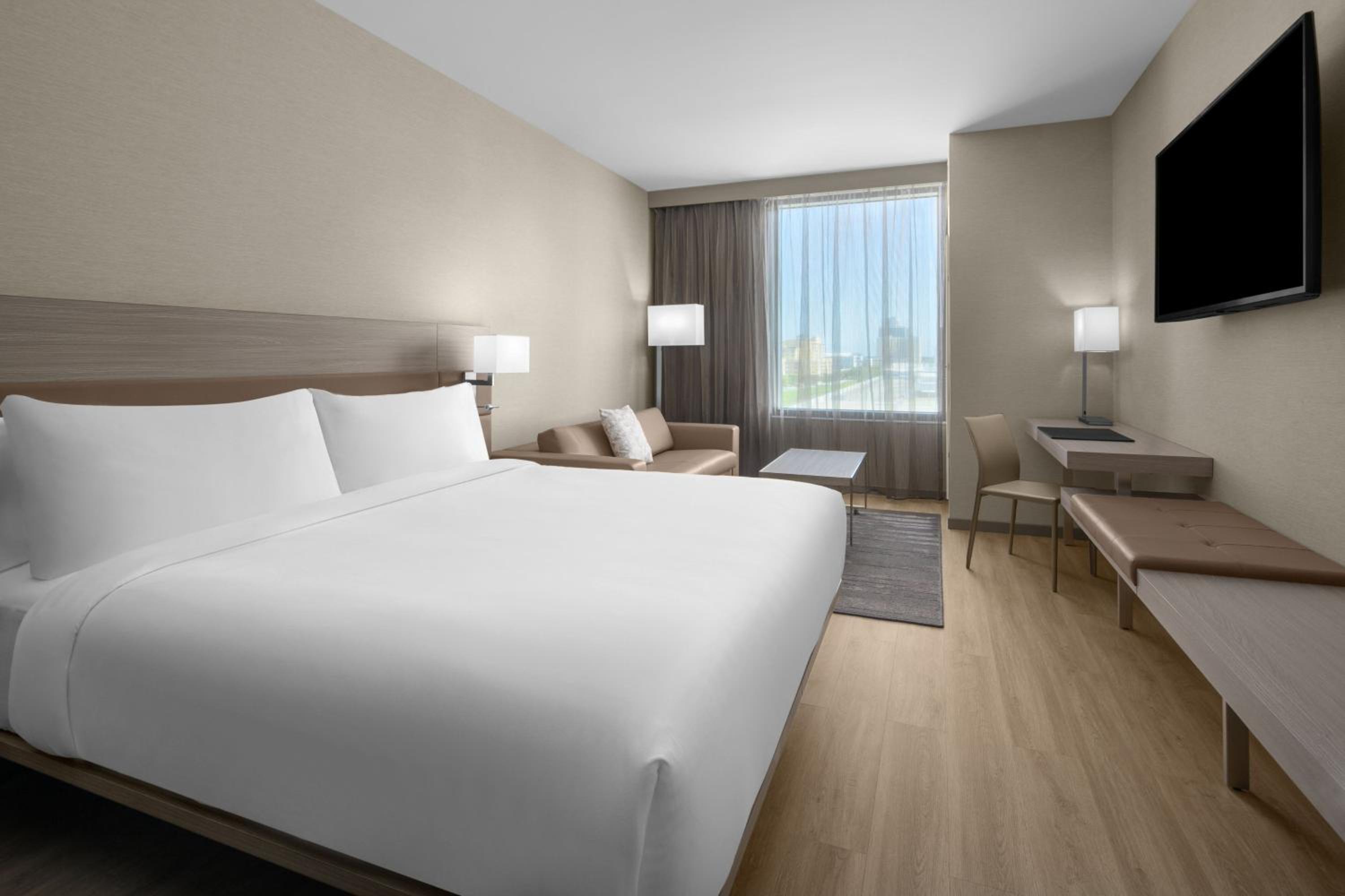 Guest Room with 1 King Bed, Sofa bed