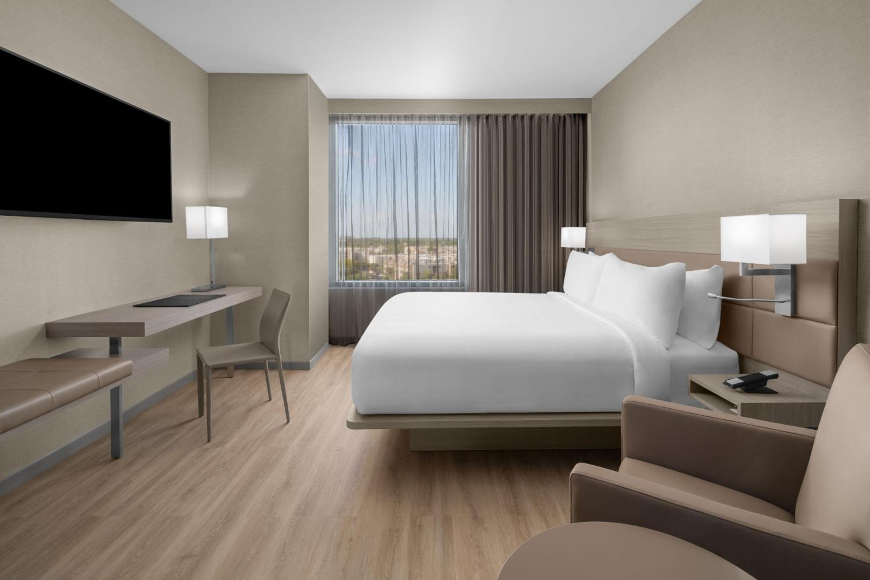 Guest Room with 1 King Bed
