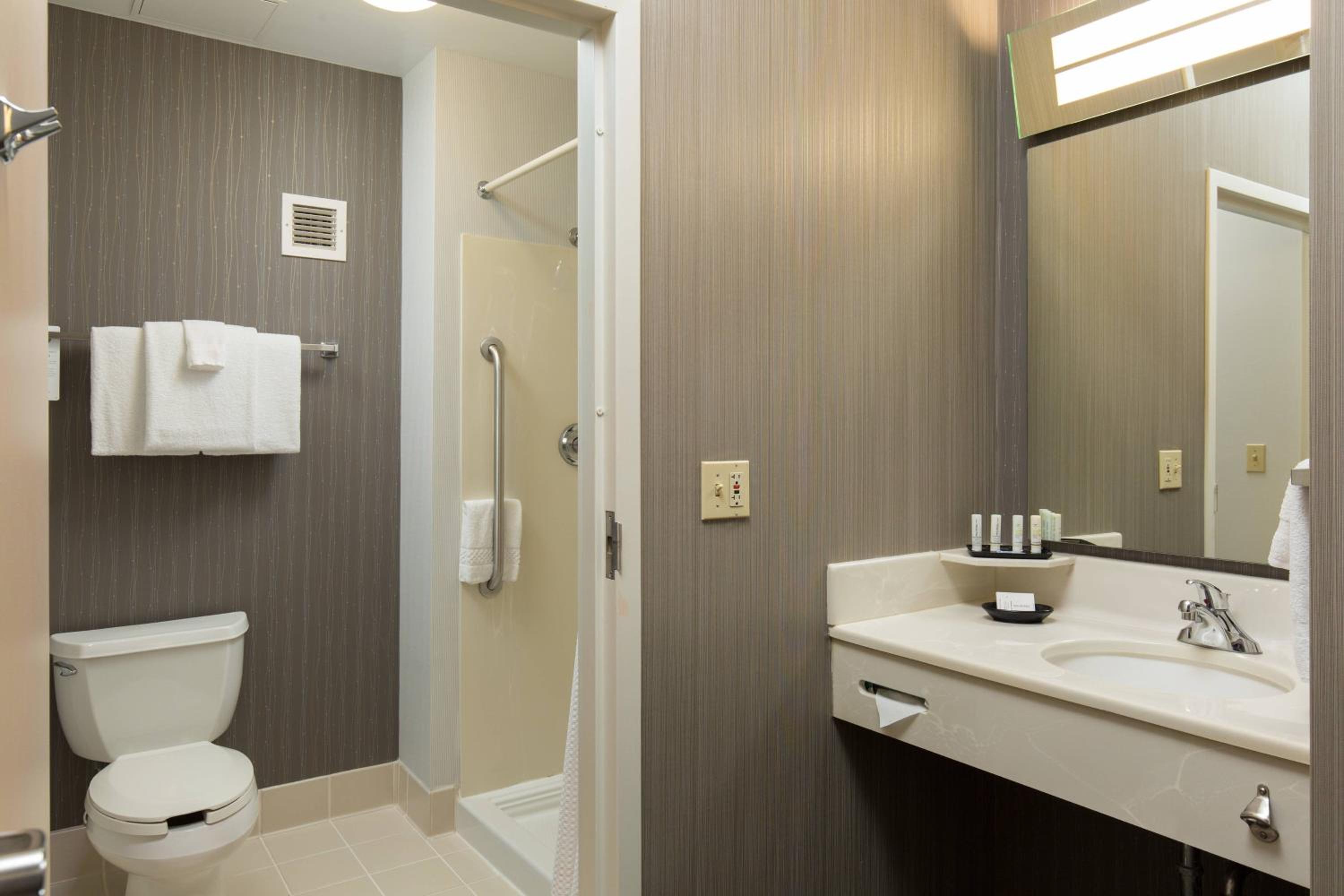 King Suite with Stand Up Shower - Photo 2
