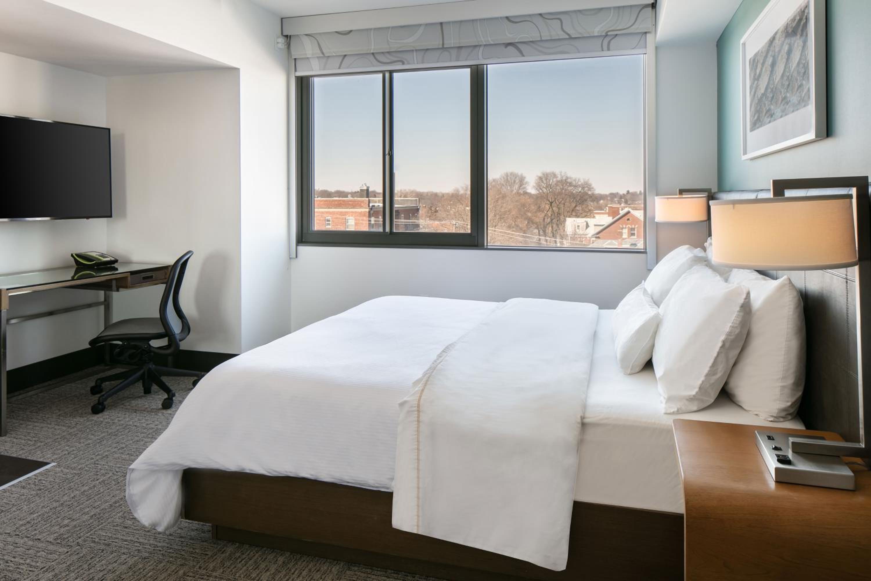 One-Bedroom King Suite - Photo 6