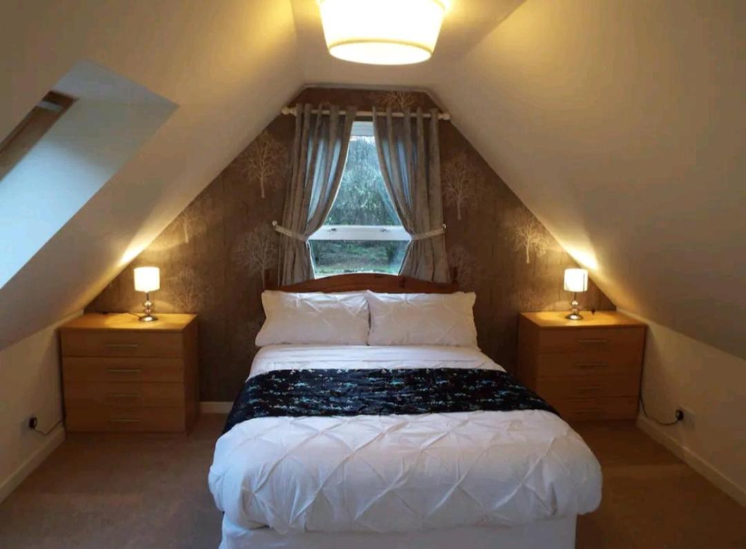 One-Bedroom House photo 1
