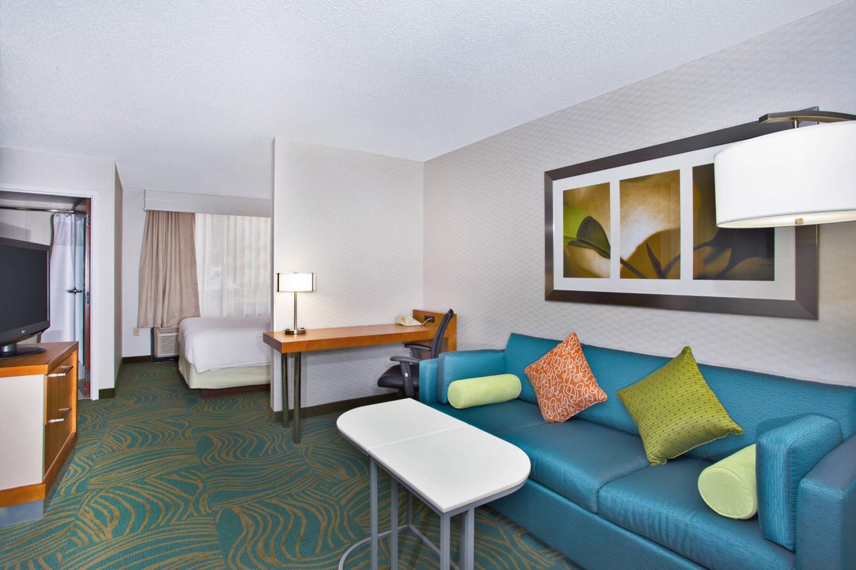 King Suite with Sofa Bed - Photo 6