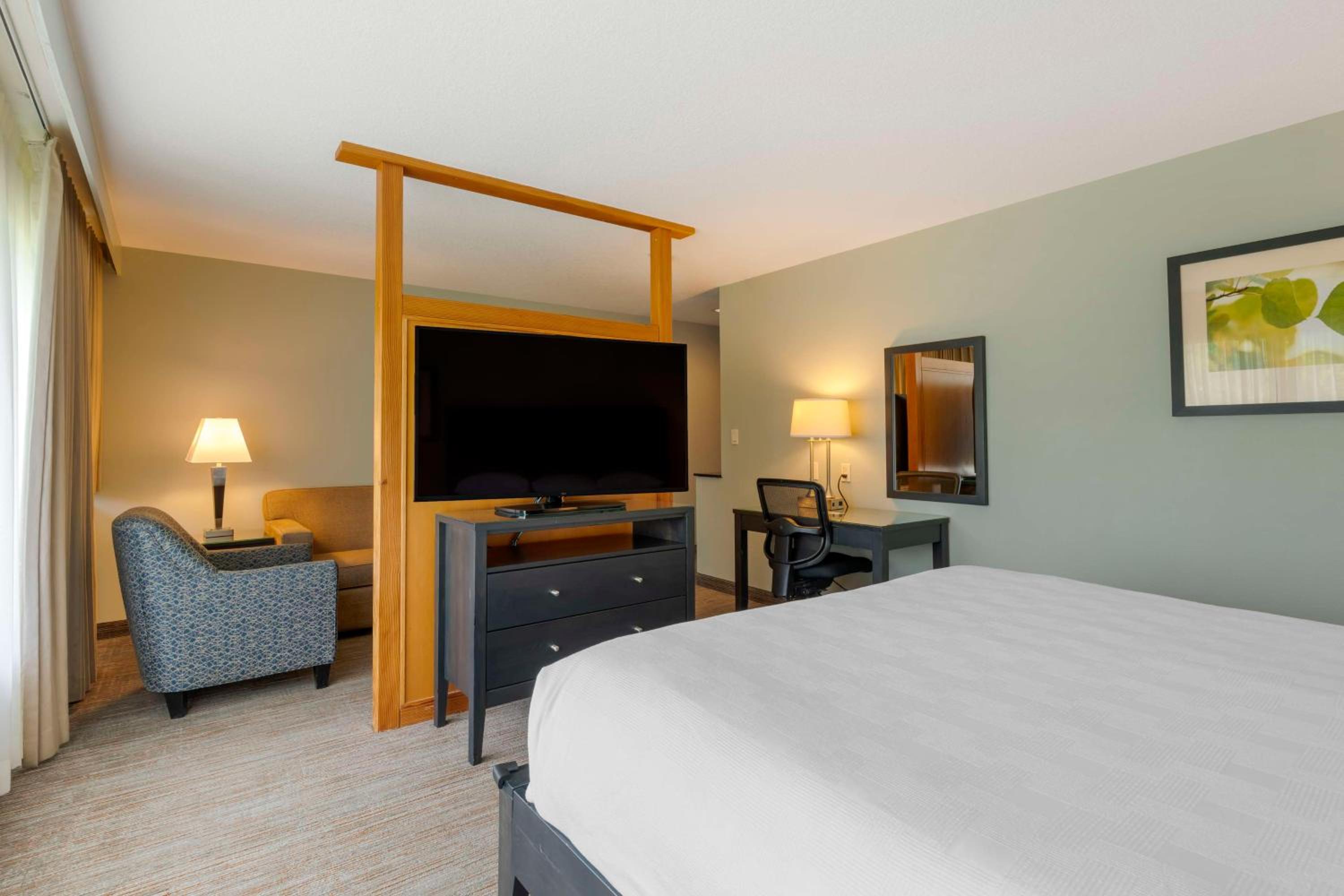 King Studio Suite with River View - No Pets