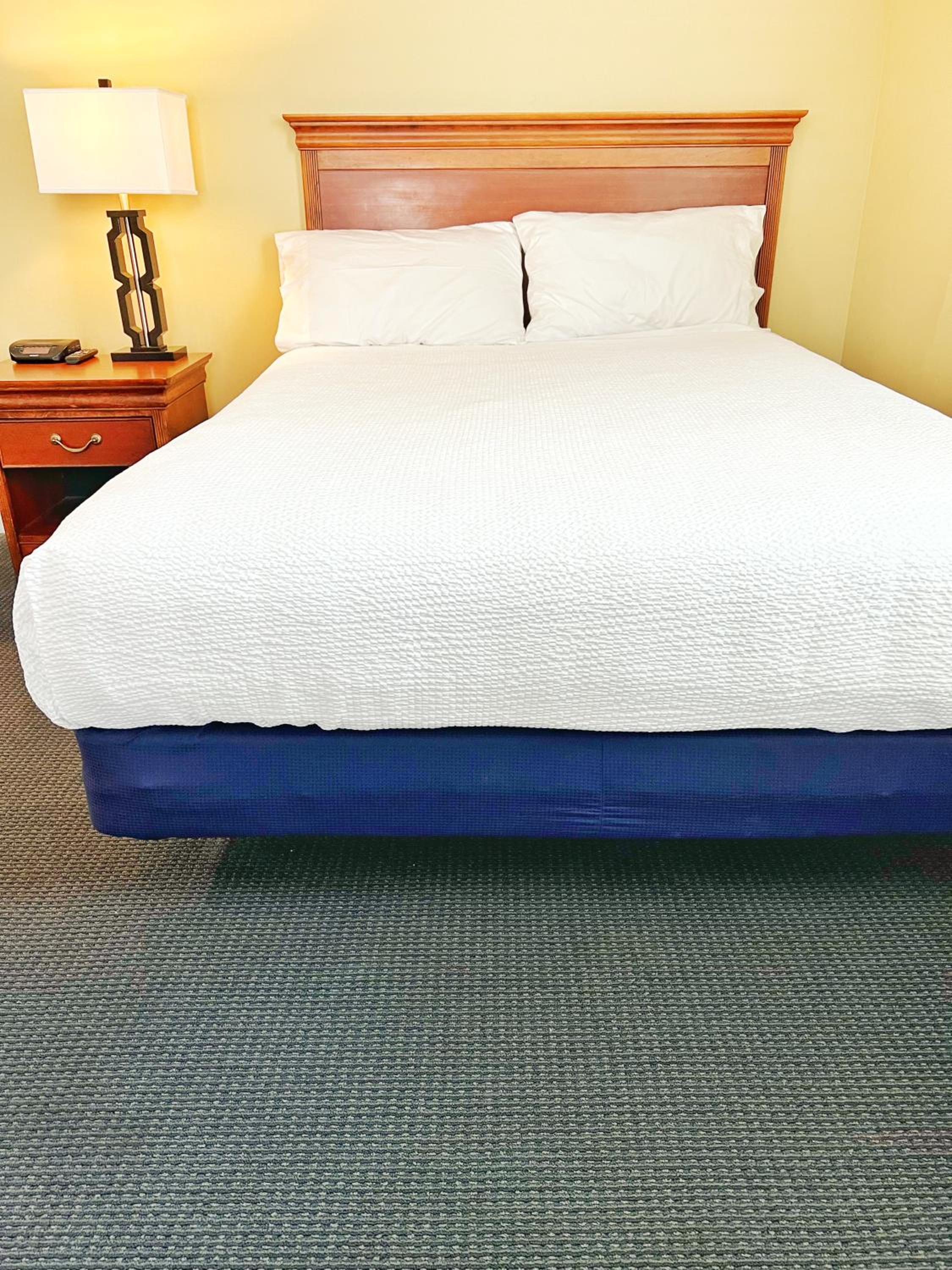 Standard Suite