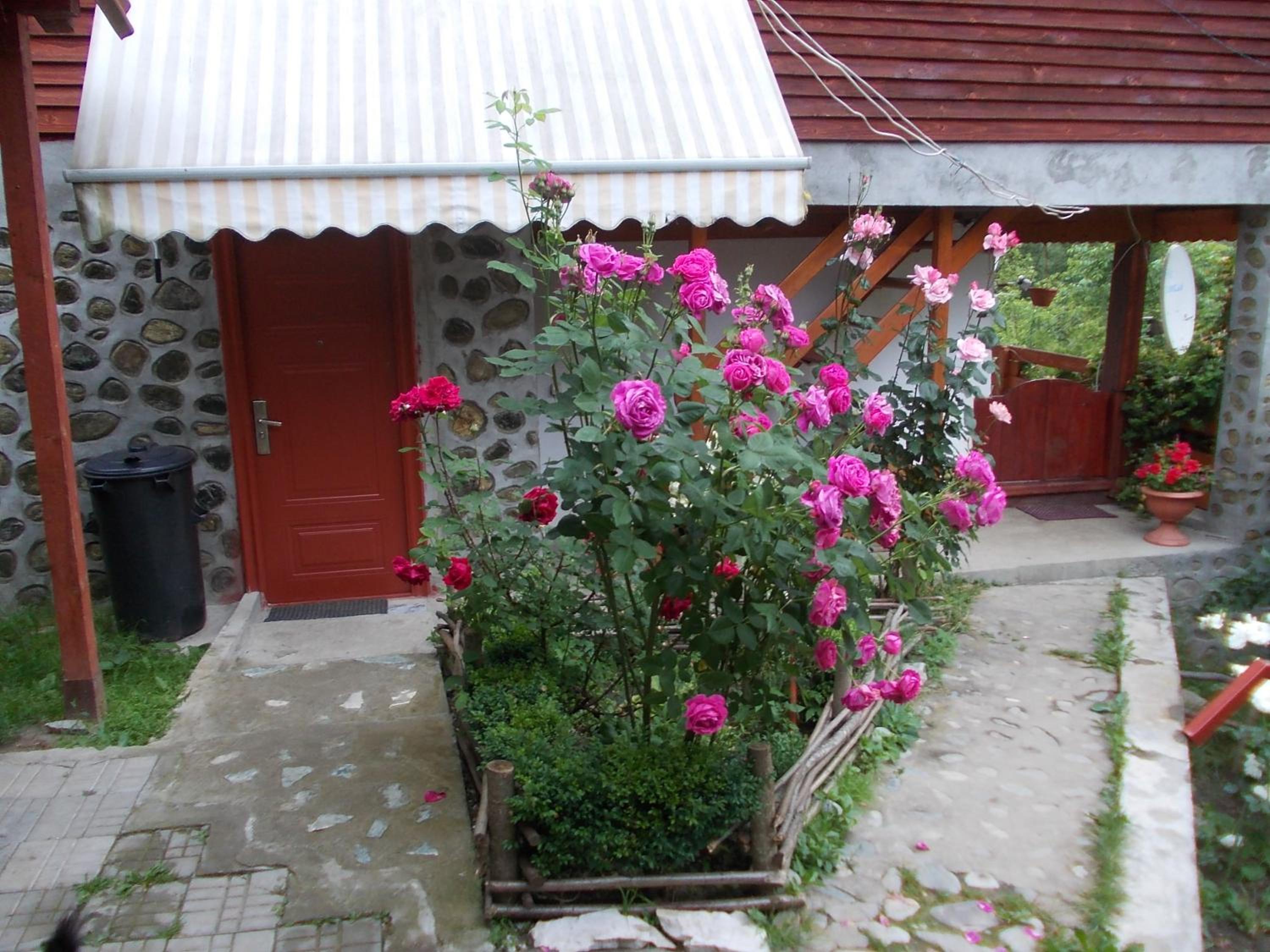 Five-Bedroom House photo 2