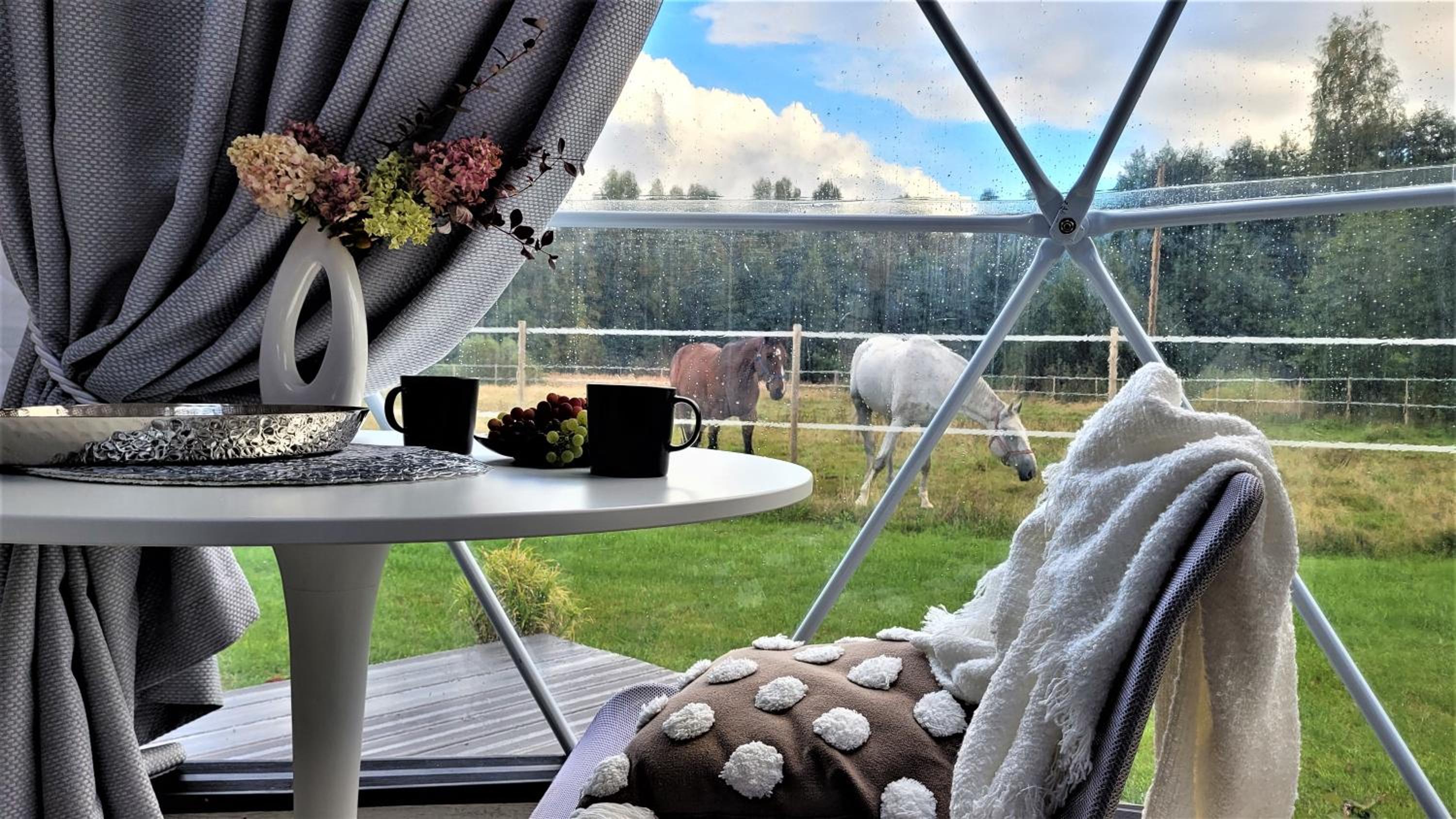 Tent - Photo 5