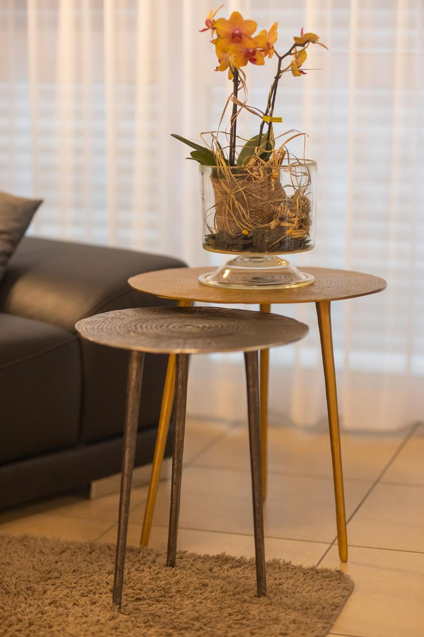 Apartment - Disability Access with kitchen and terrace photo 2