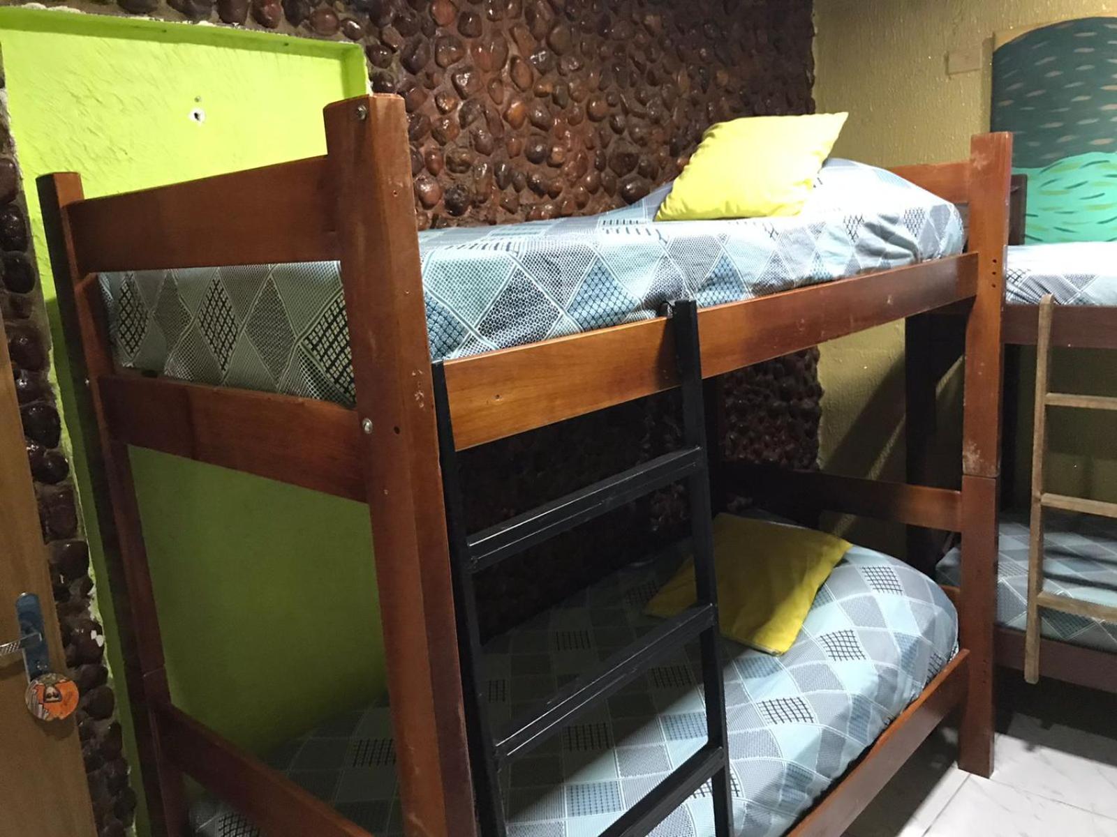 Single Bed in Female Dormitory Room photo 1