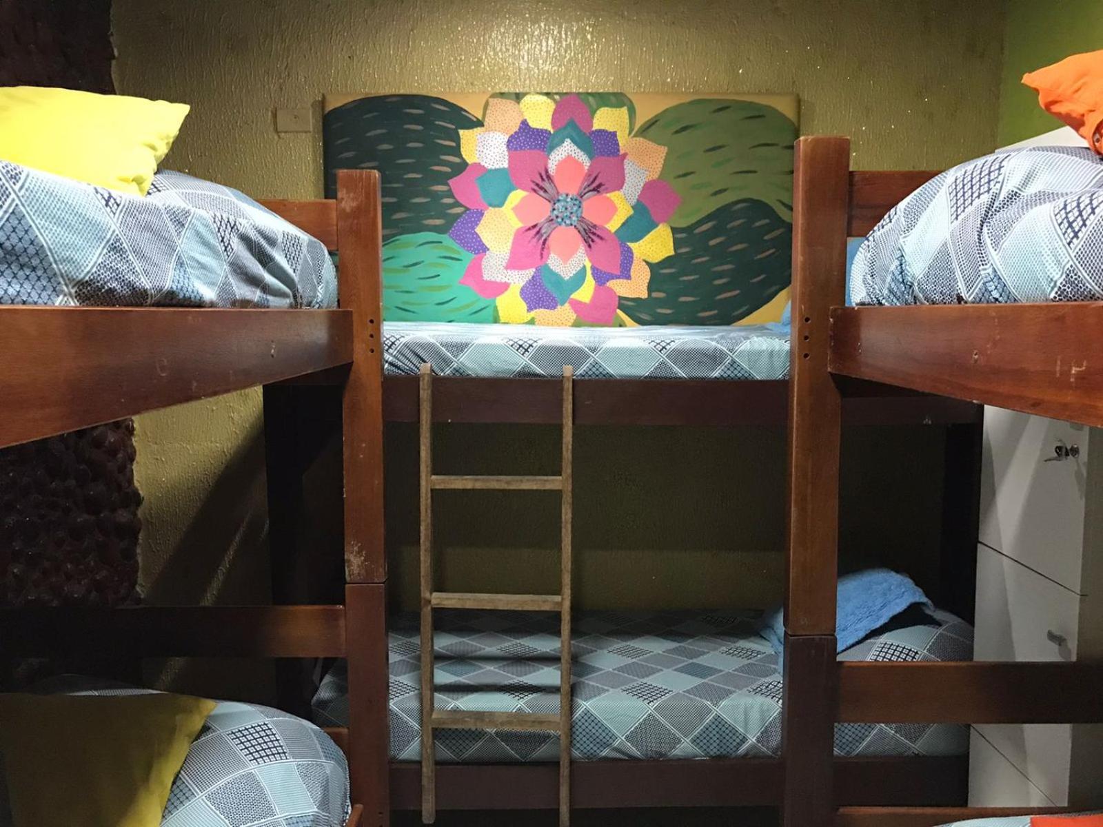 Single Bed in Female Dormitory Room photo 3