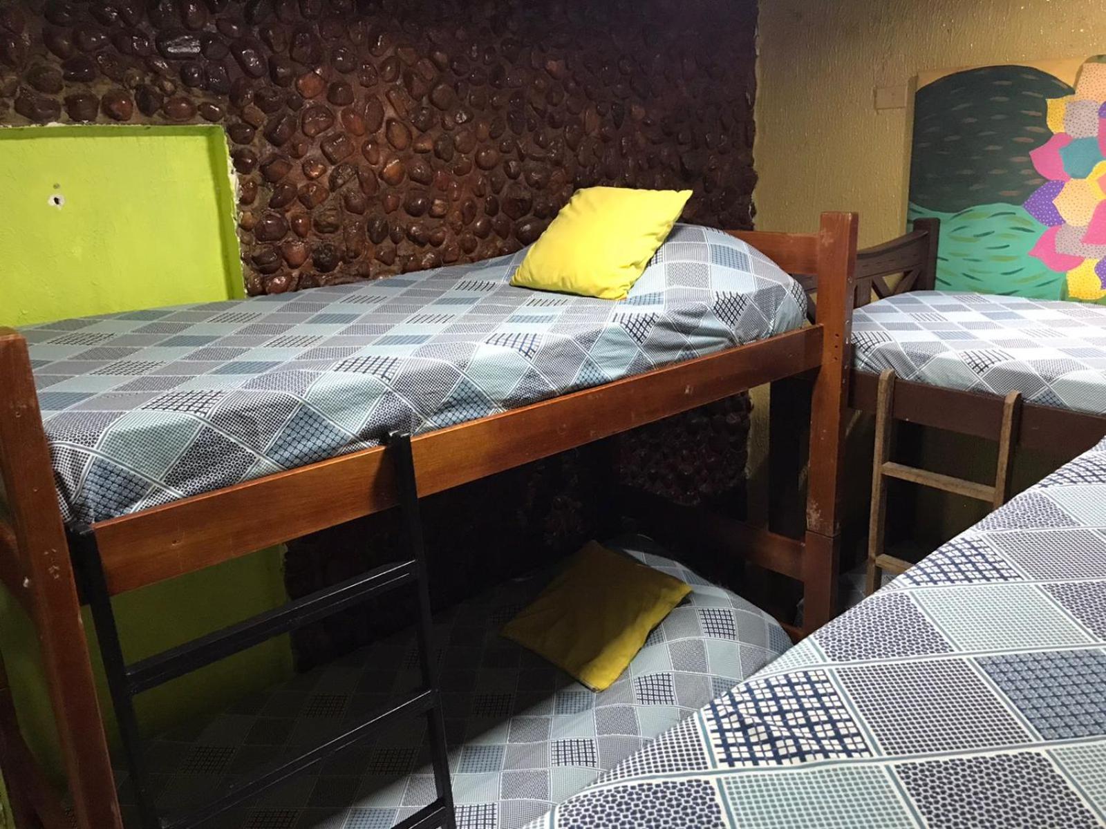 Bunk Bed in Female Dormitory Room   photo 1