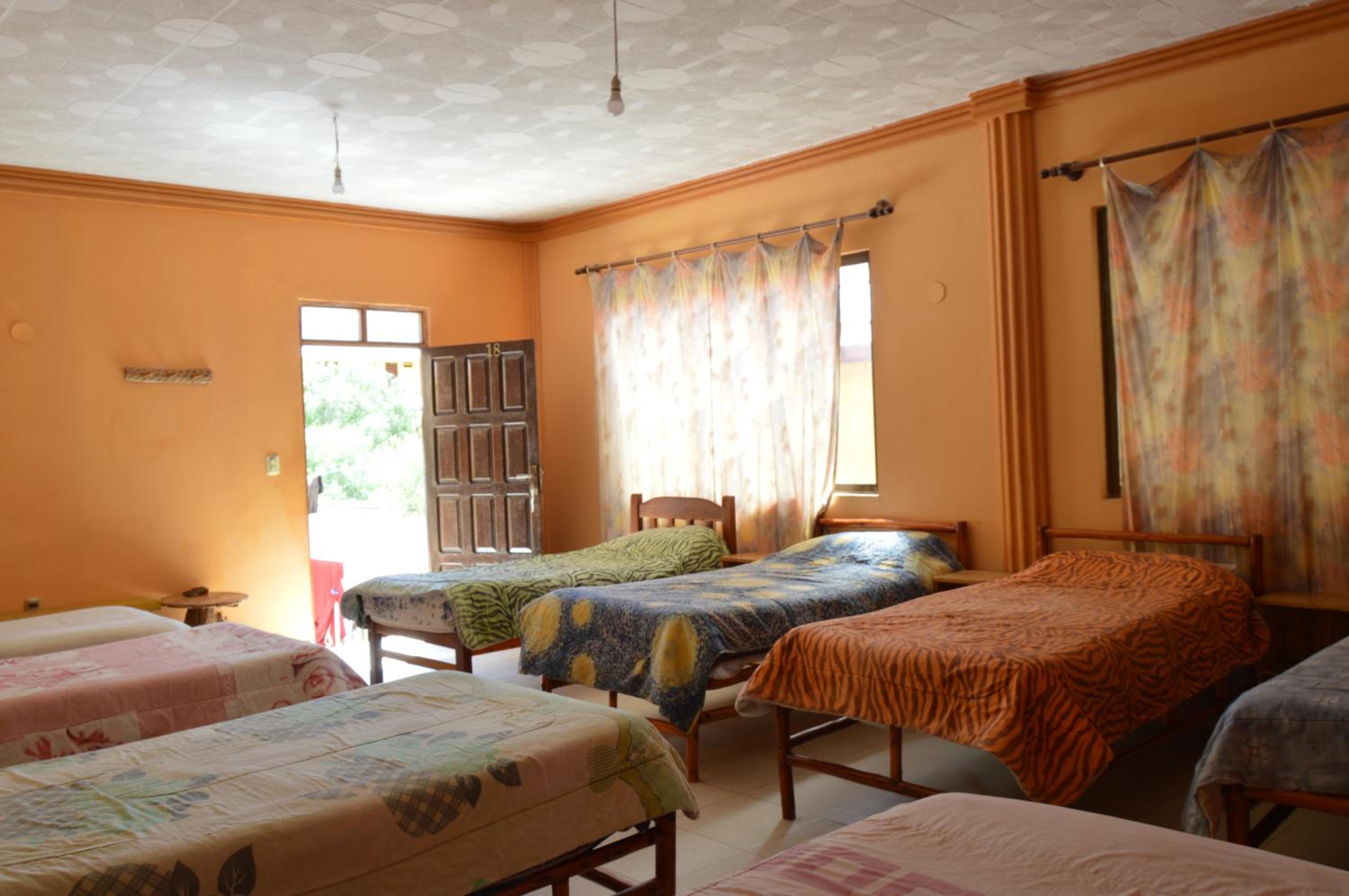 Single Bed in Mixed Dormitory Room photo 1