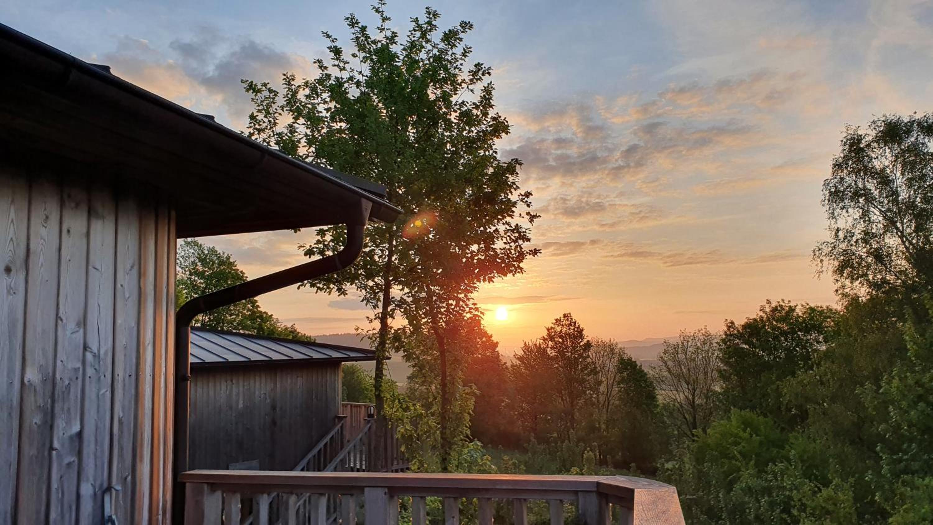 Treehouse Birkenhöhe - Photo 8