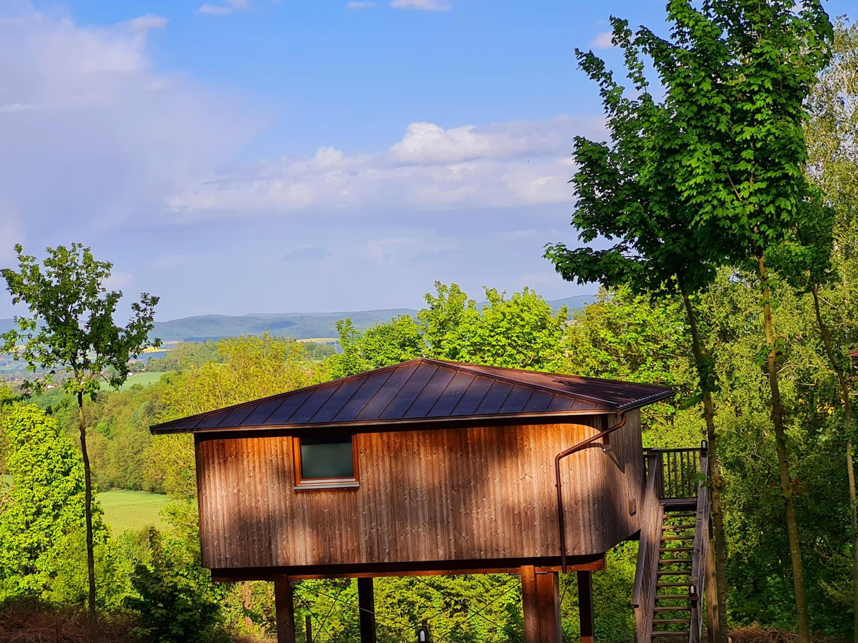Treehouse Birkenhöhe - Photo 25