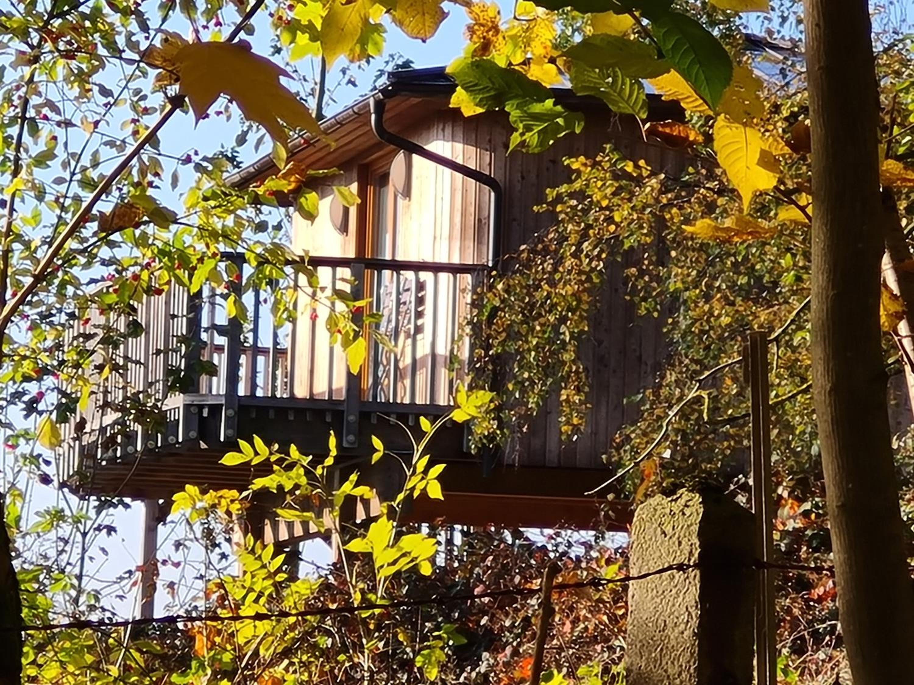 Treehouse Eichenhöhe - Photo 9