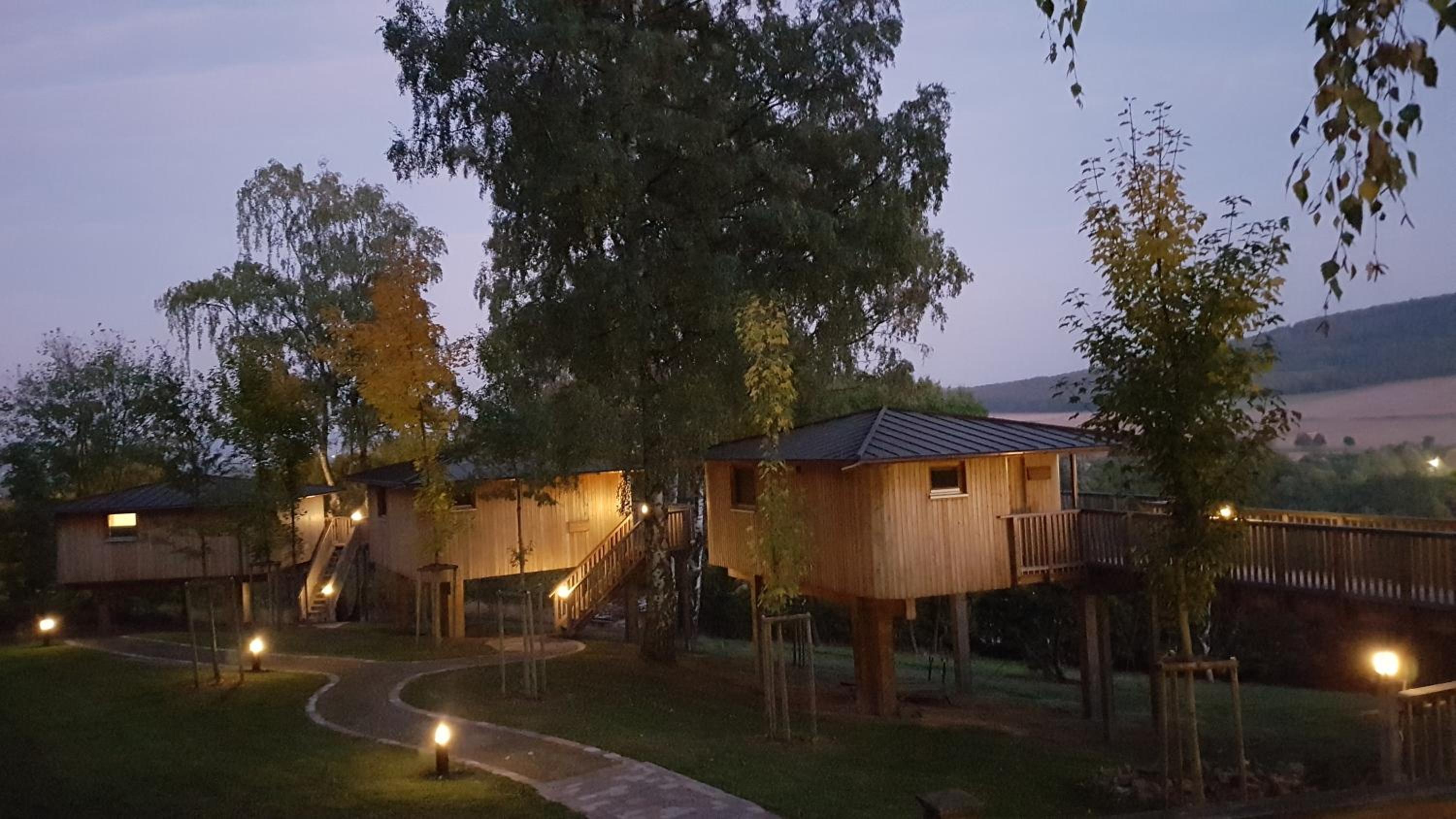Treehouse Ahornhöhe - Photo 15