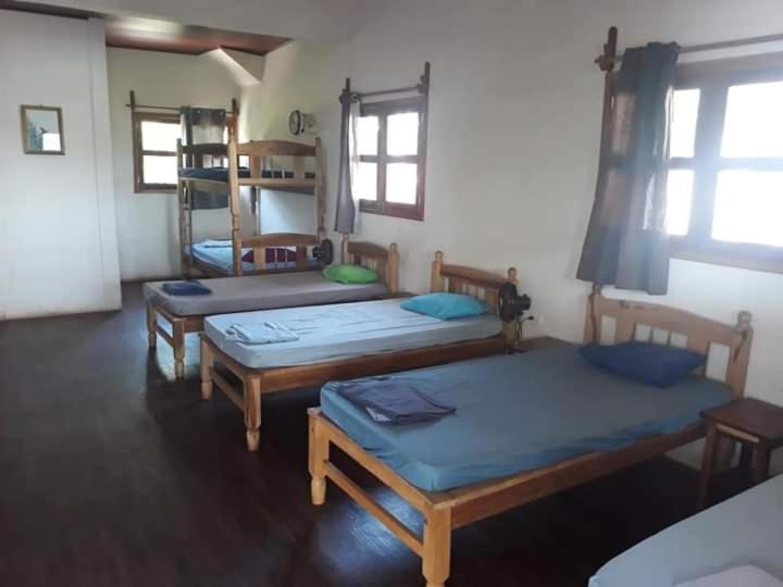 Bed in 6-Bed Dormitory Room photo 1