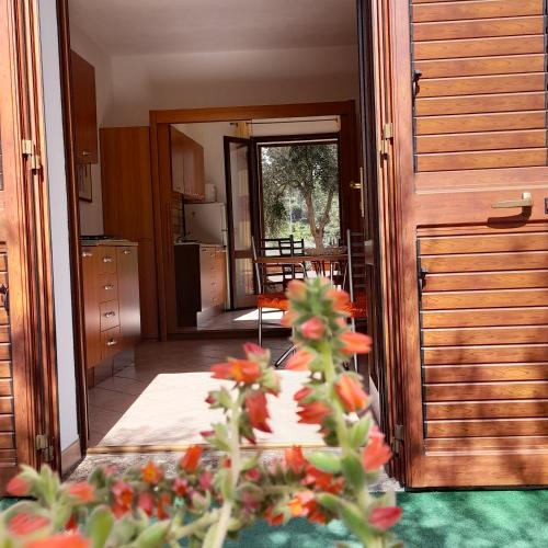 Studio with Garden View photo 2