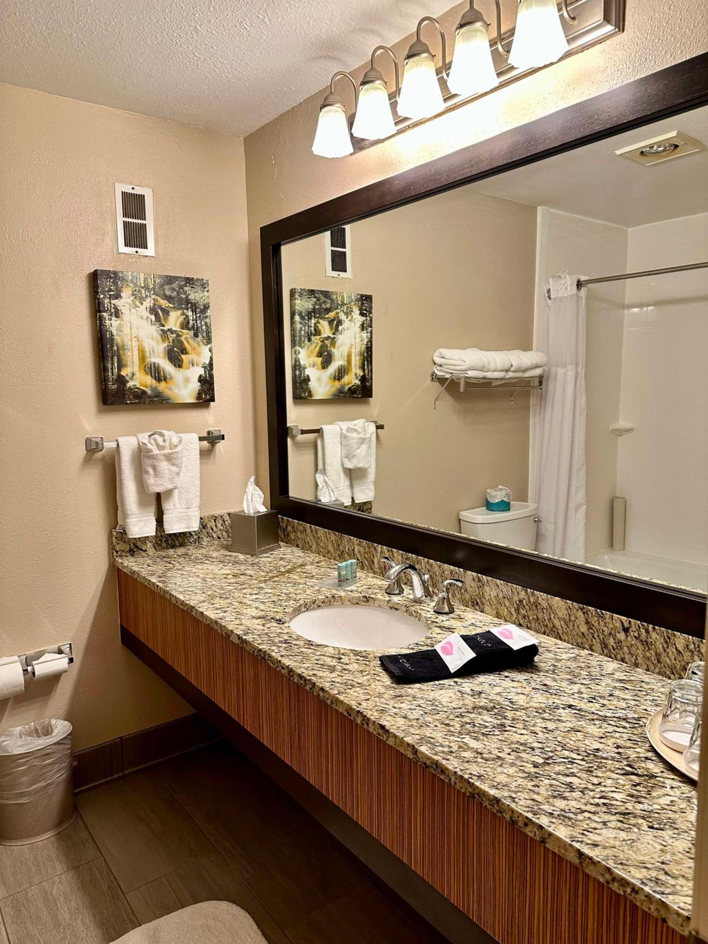 King Room with Mountain View photo 3