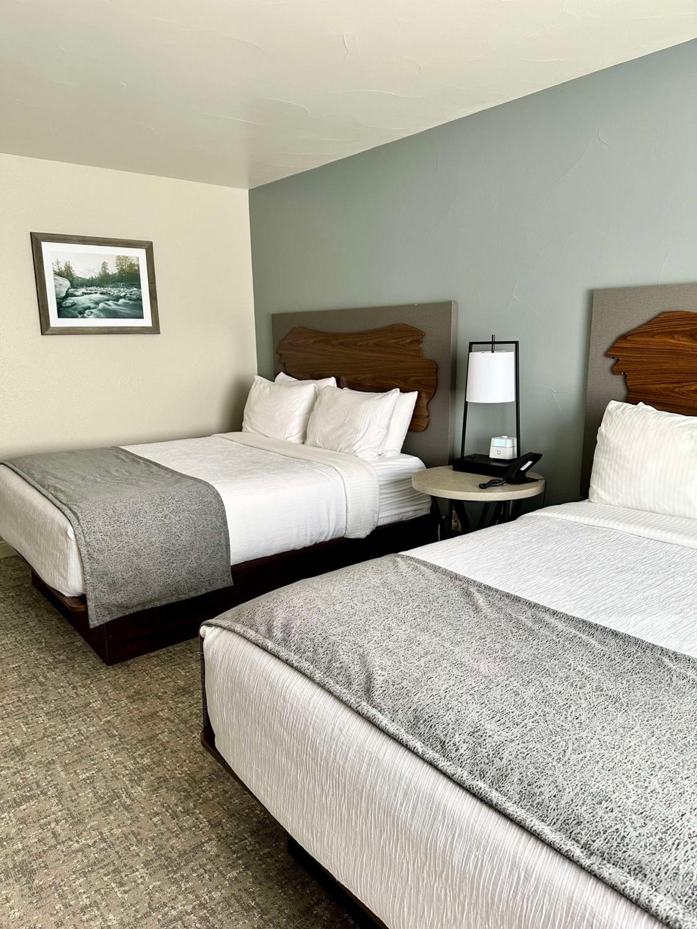 Queen Room with Two Queen Beds - Disability Access/Bath Tub photo 1