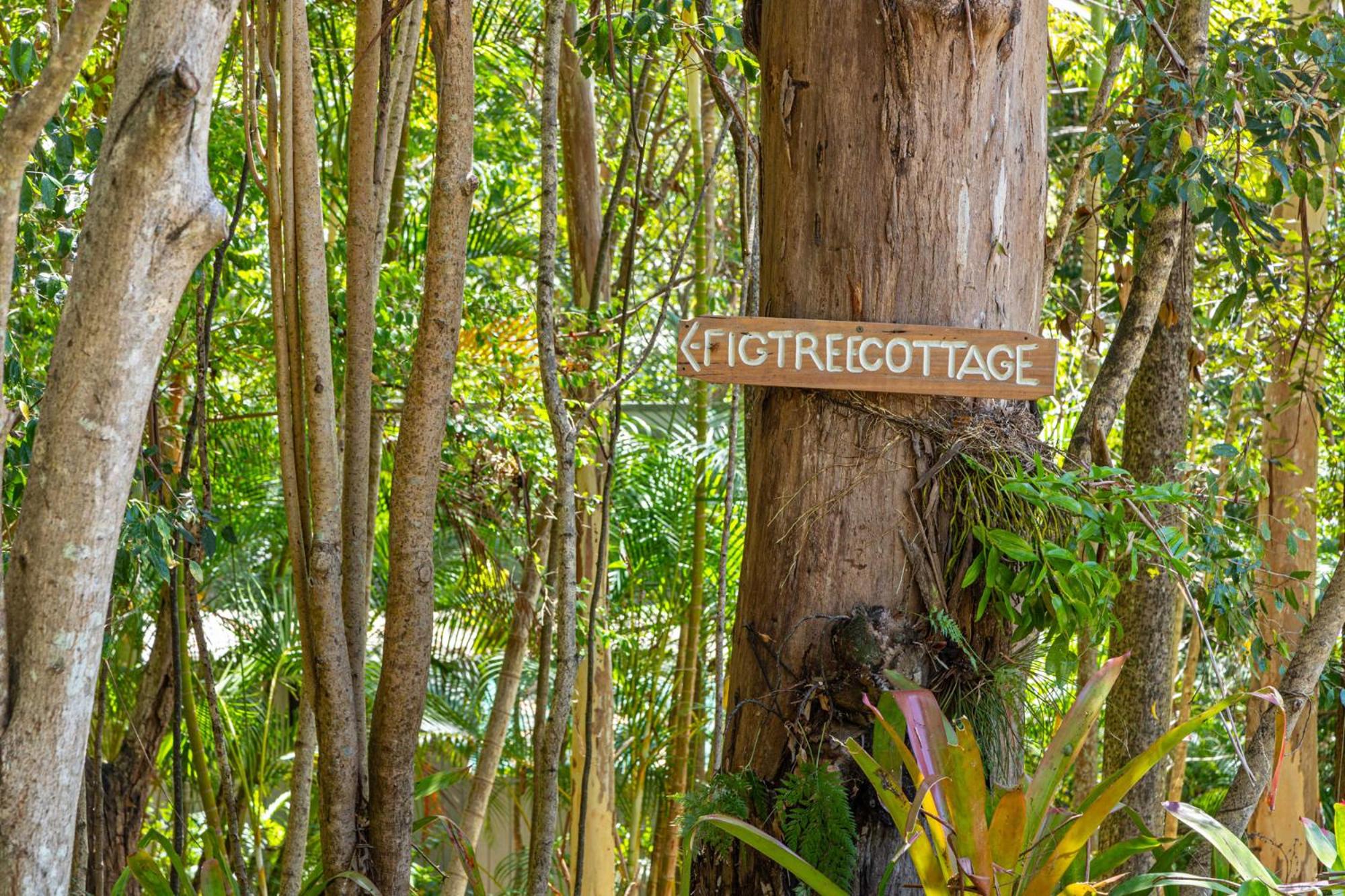 Fig Tree Cottage with Private Outdoor Hot Tub photo 2