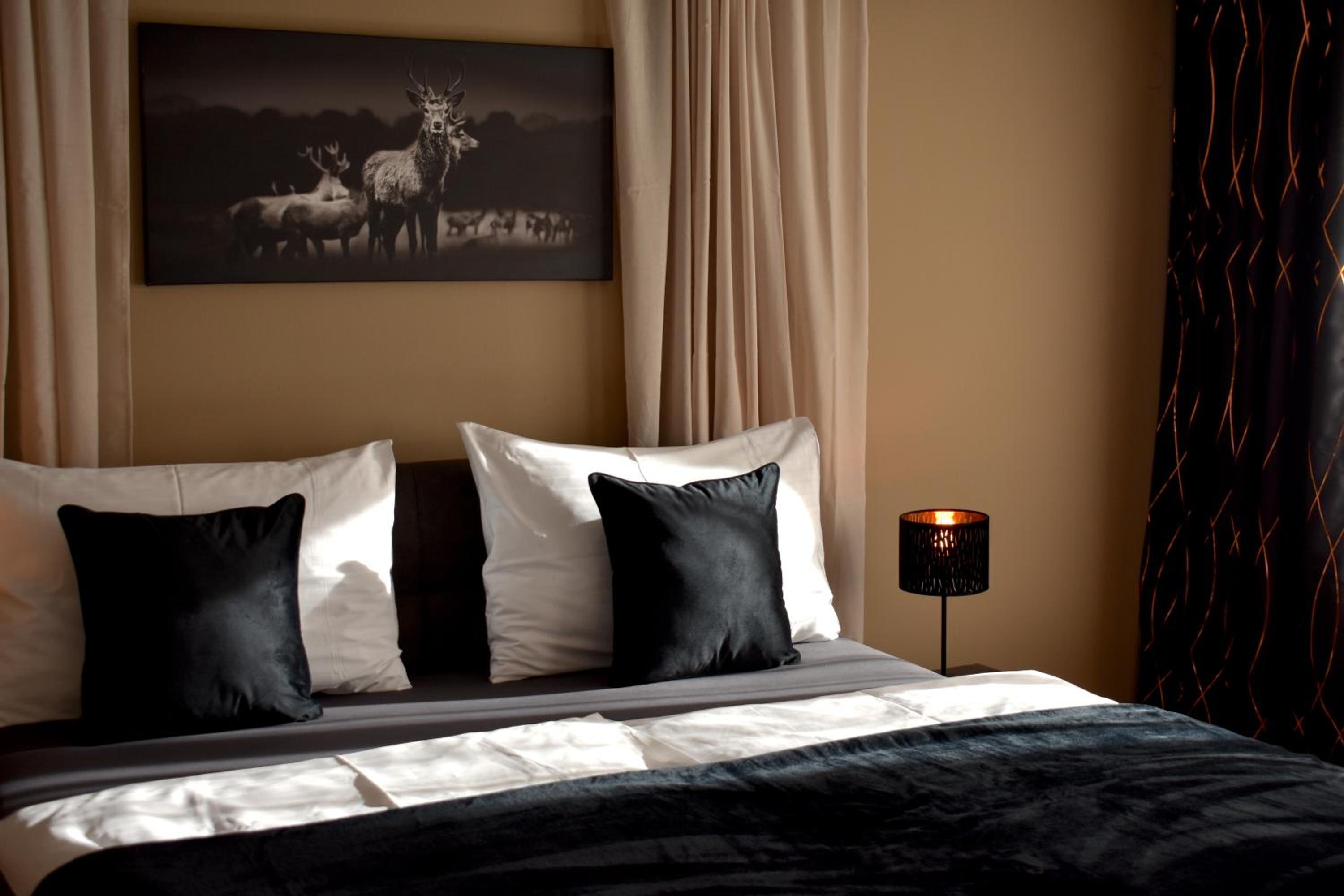 Large Double Room photo 1