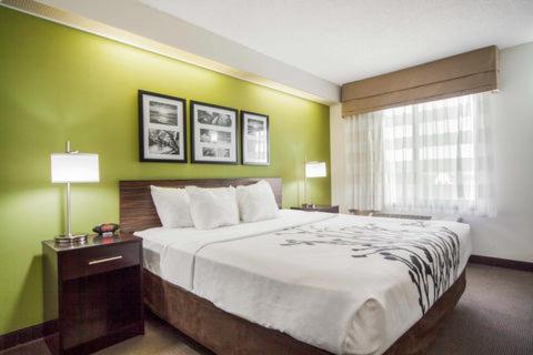 Queen Room - Non-Smoking - Photo 4