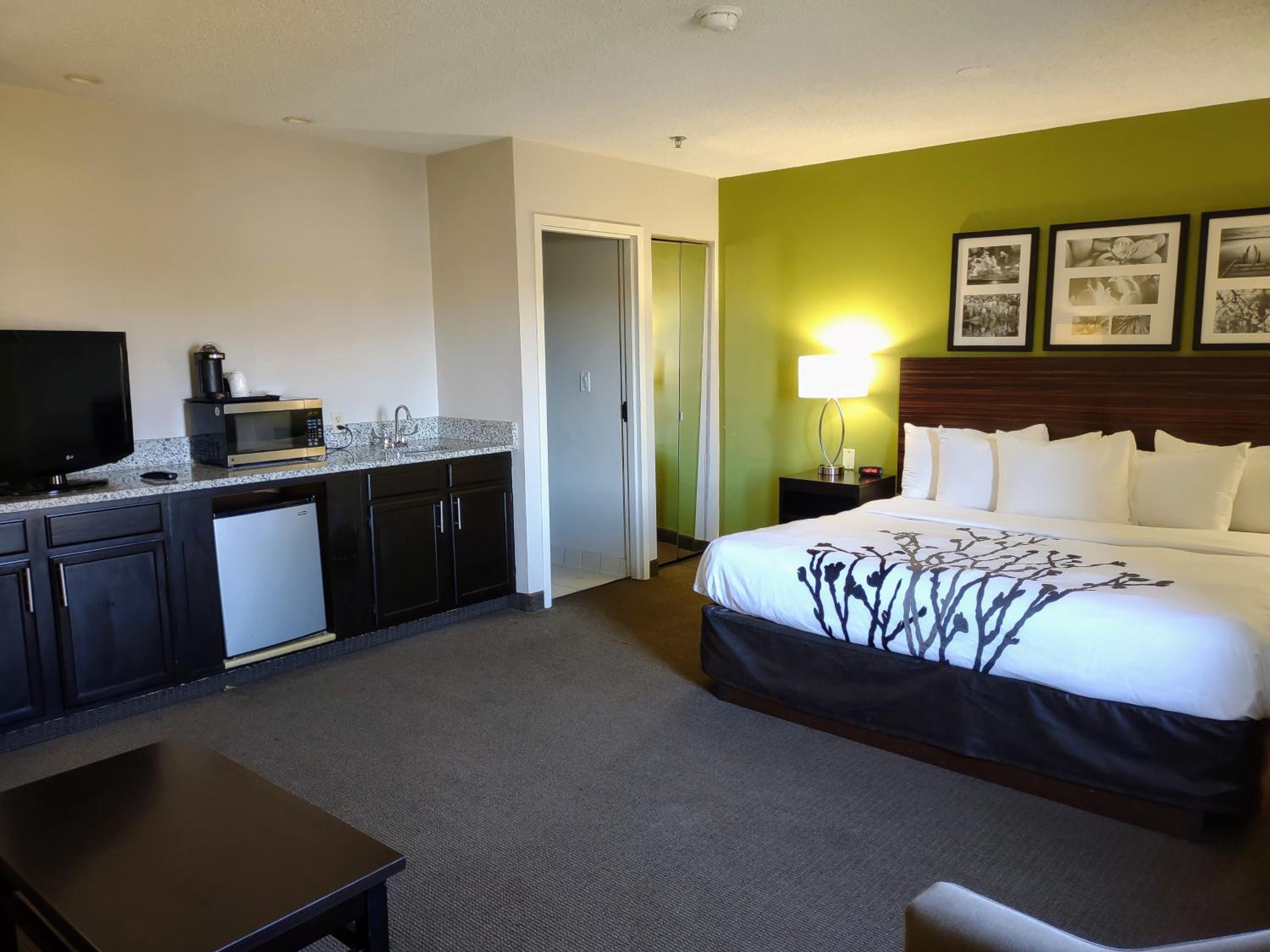 King Suite with Sofa Bed - Non Smoking - Photo 5