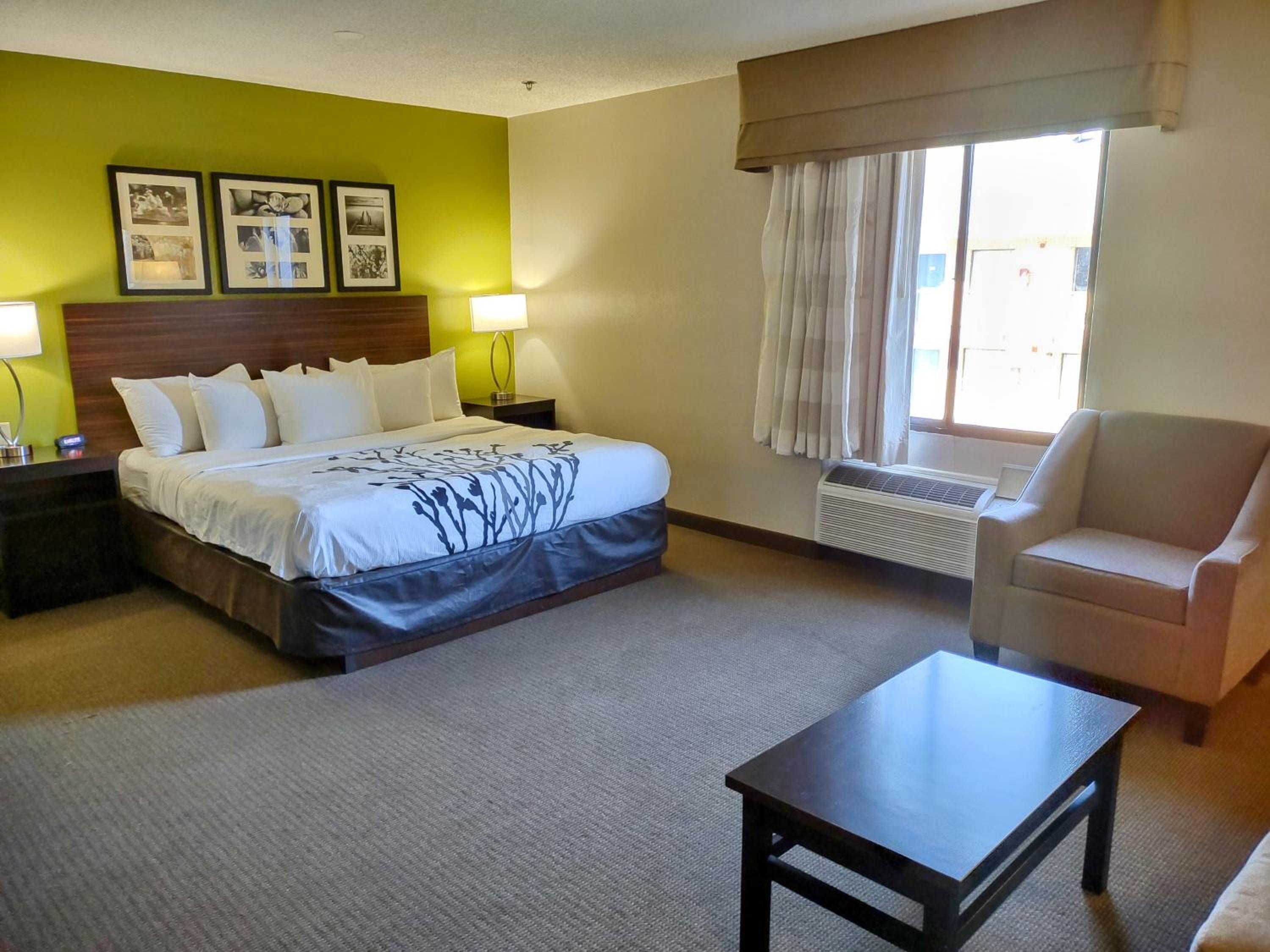 King Suite with Sofa Bed - Non Smoking - Photo 1