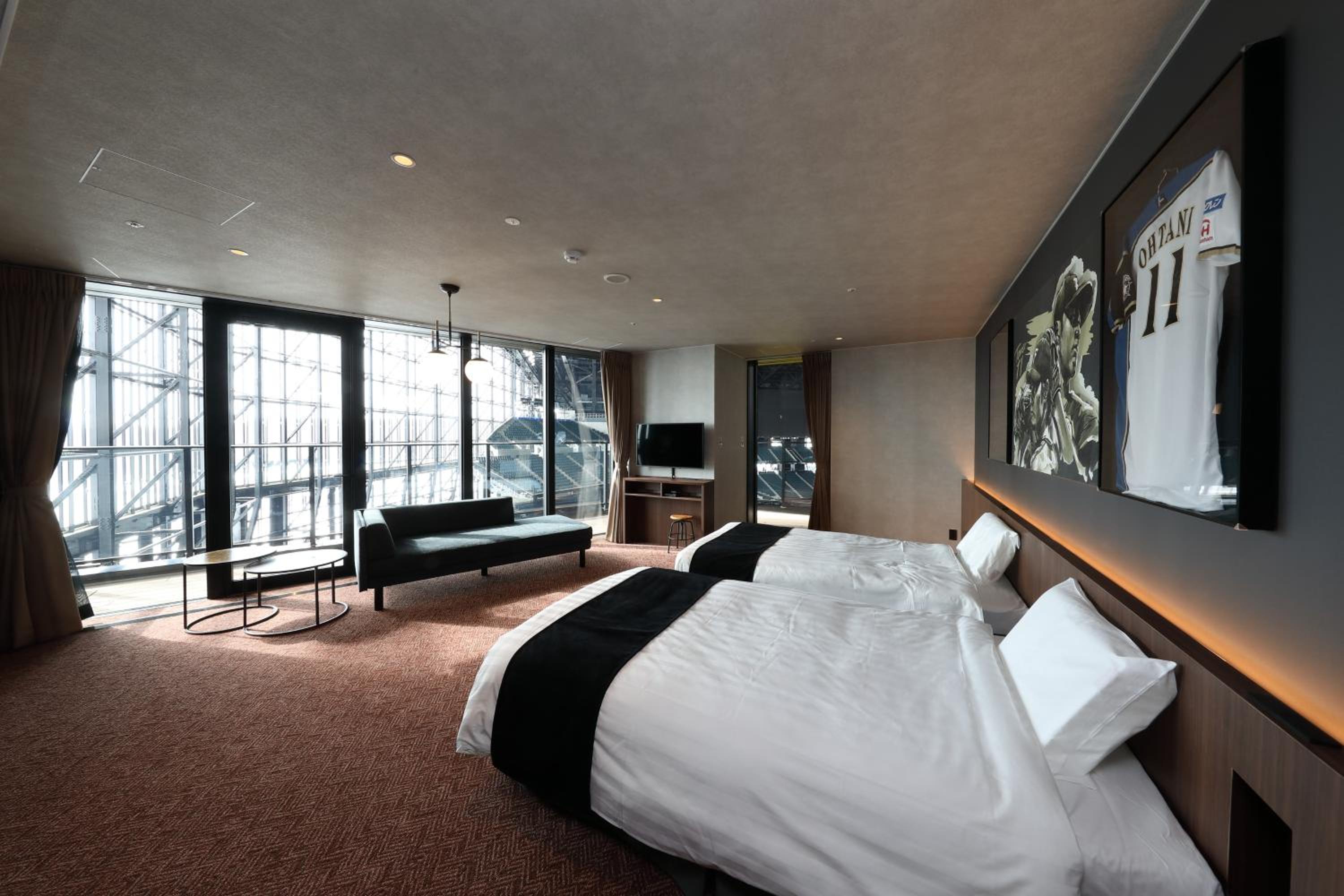 field view - suite