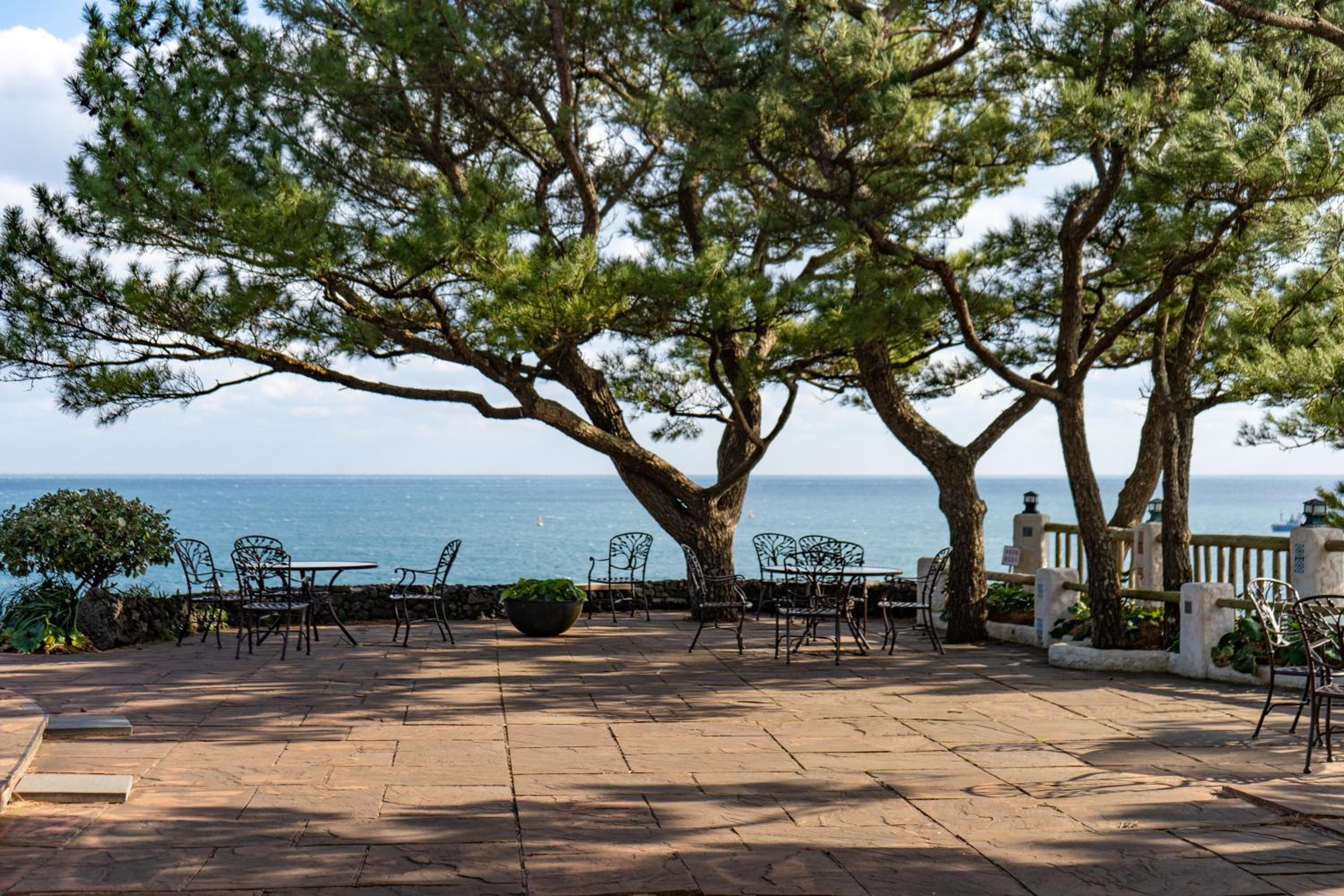 Special Offer - Standard Twin Room + 2 Cups of Americano