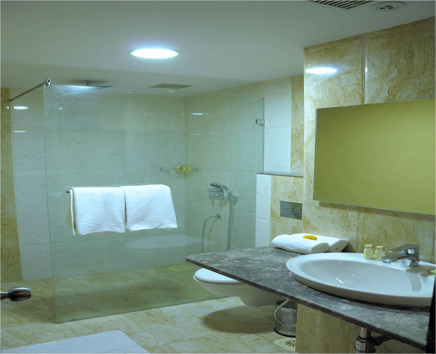 Deluxe Double or Twin Room photo 2