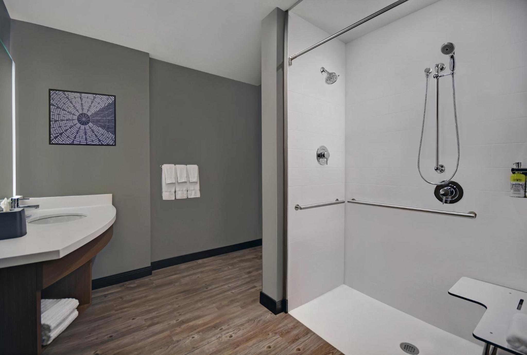 Suite - Mobility Access Roll in Shower/Non-Smoking - Photo 10