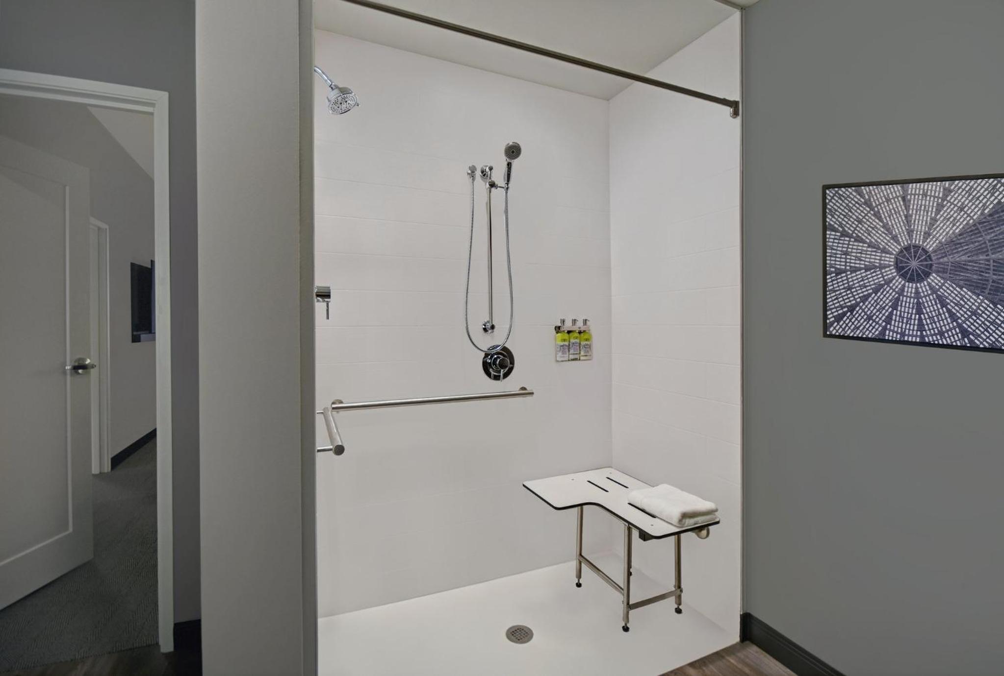 Suite - Mobility Access Roll in Shower/Non-Smoking - Photo 9