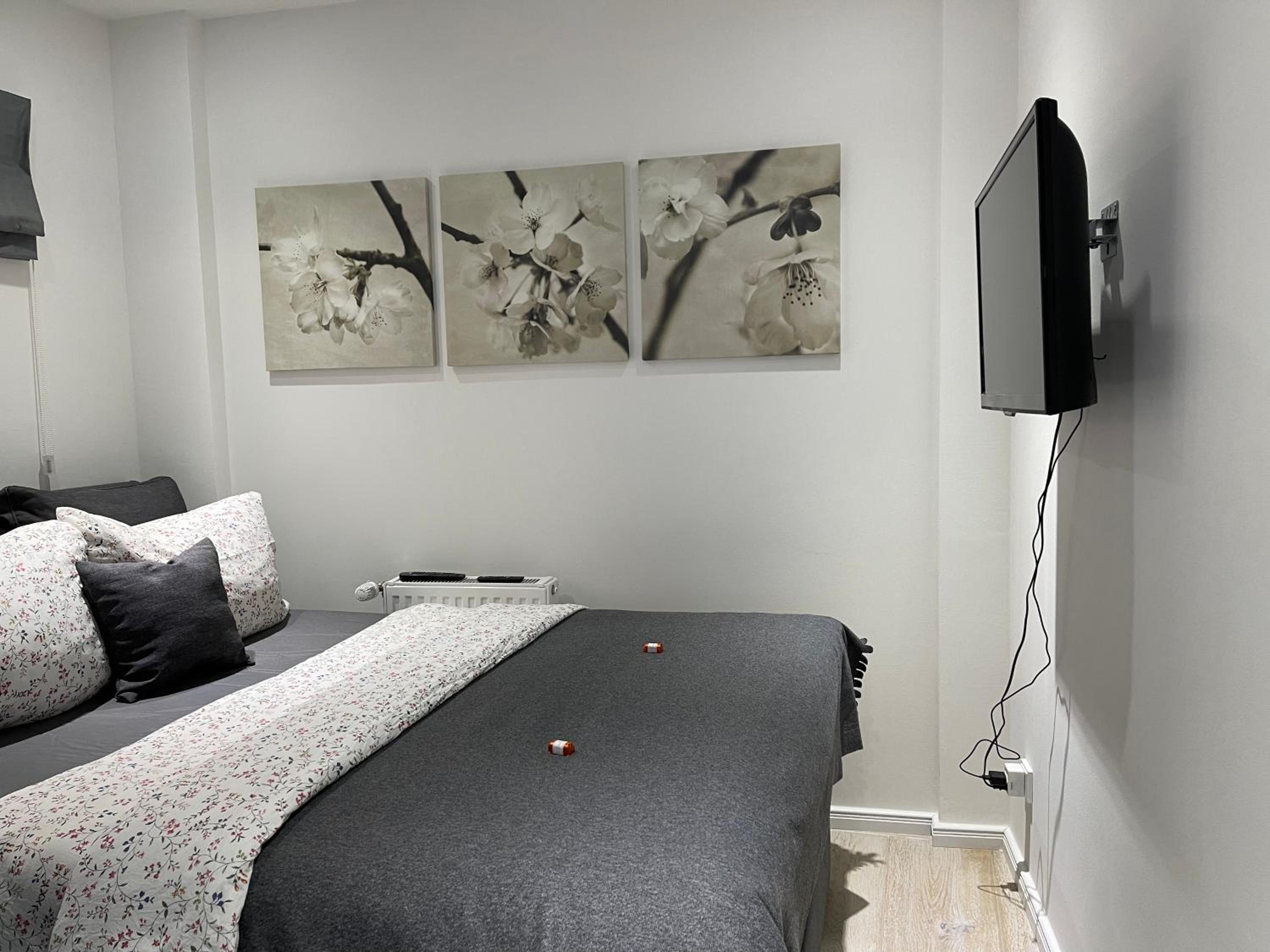 One-Bedroom Apartment photo 2