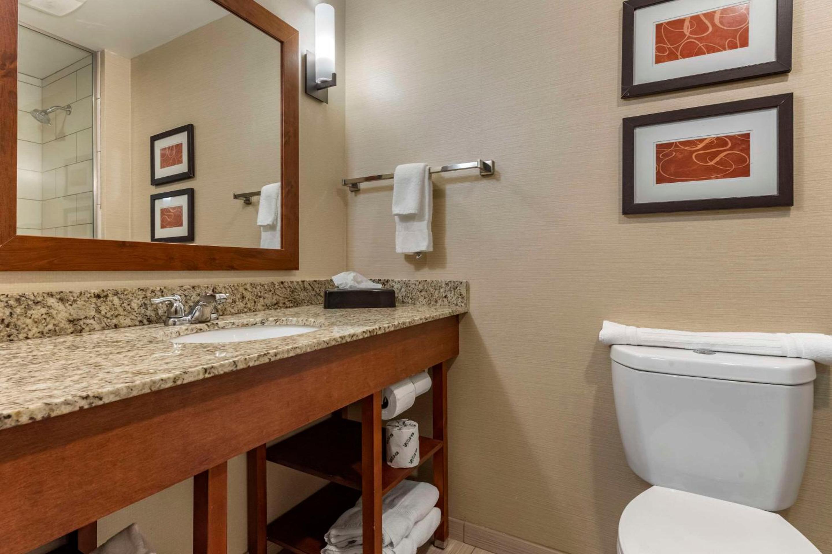 King Suite photo 3