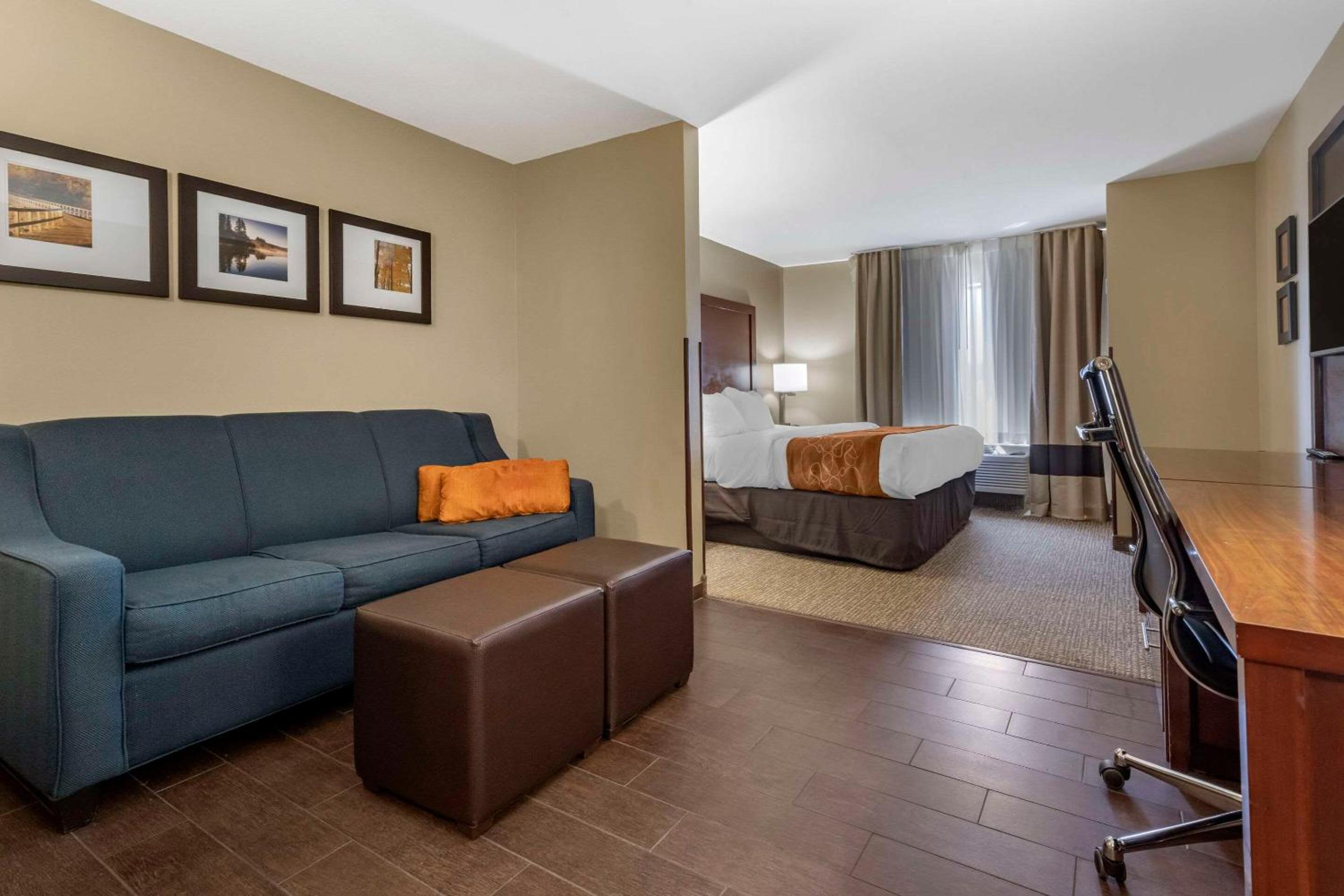 King Suite photo 1