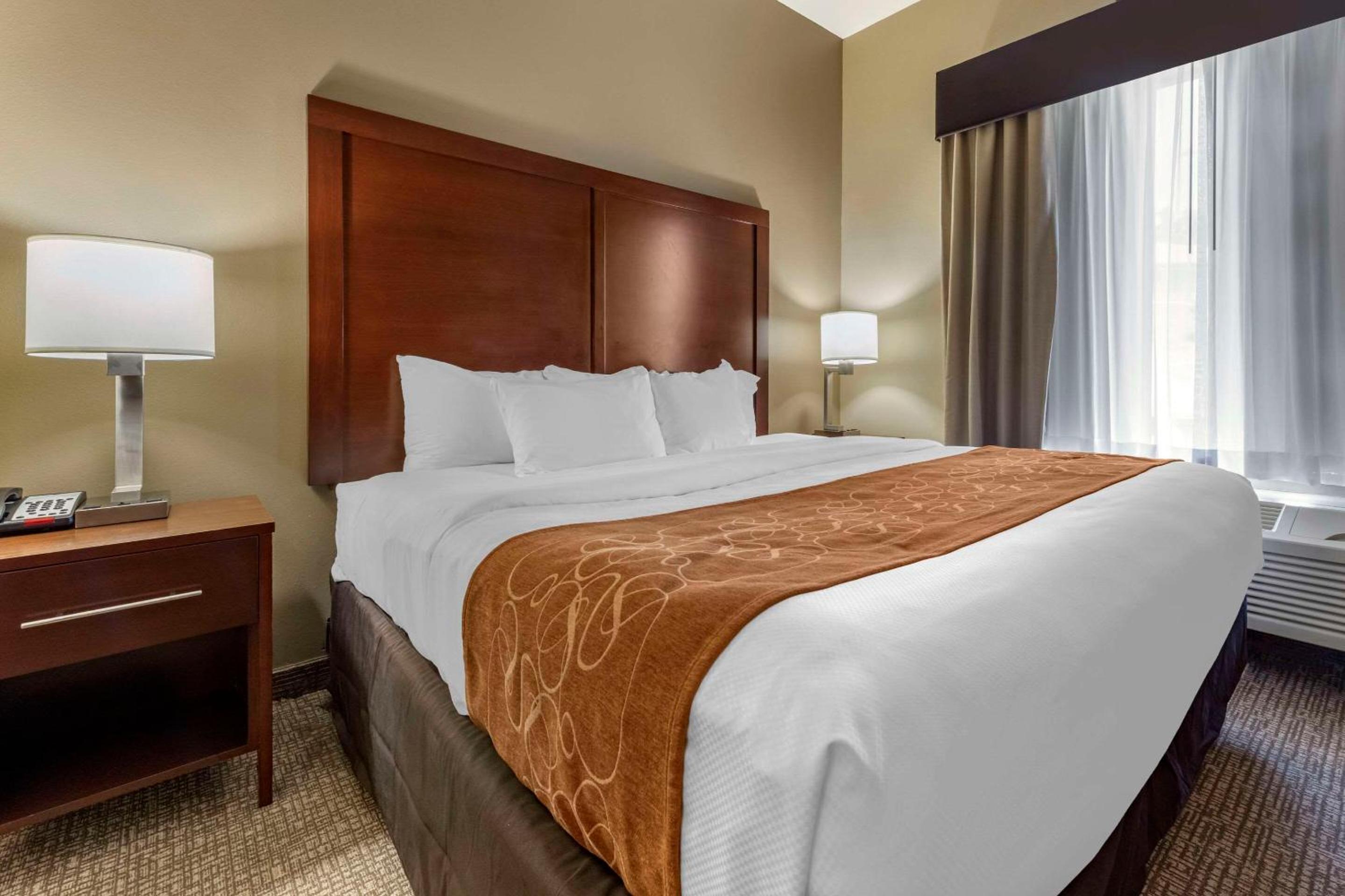 King Suite photo 2