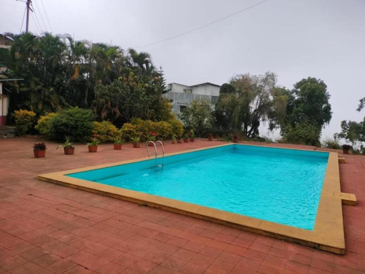 Double Room with Pool View photo 2