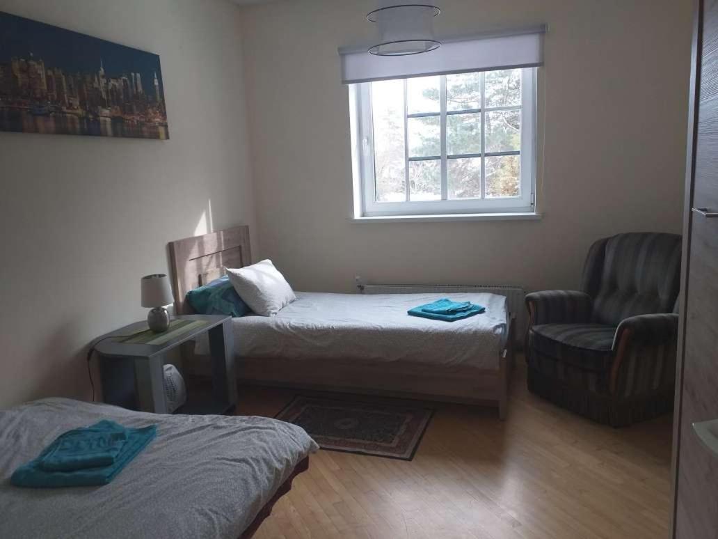 Standard Twin Room photo 3