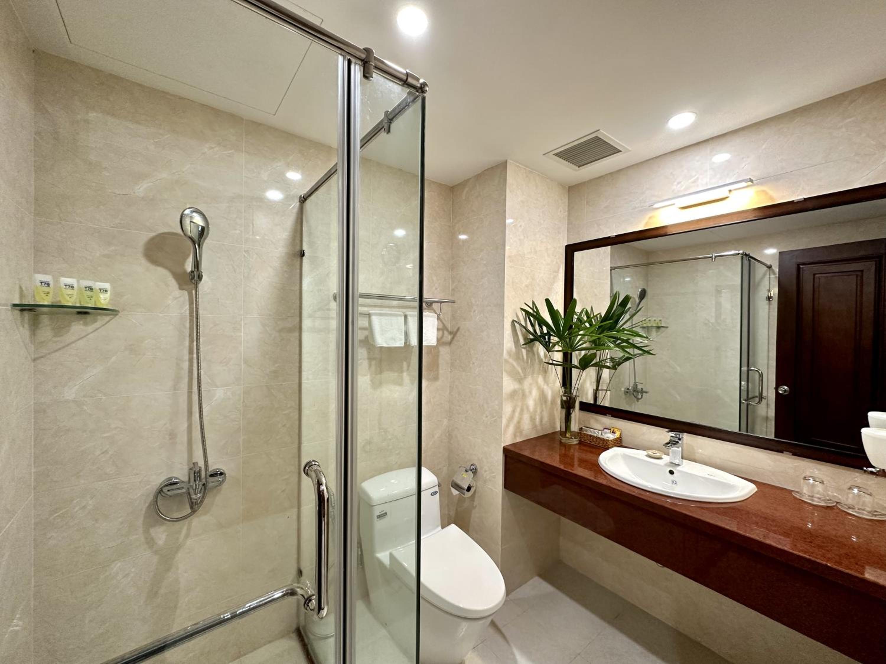 Deluxe Double or Twin Room - Photo 5
