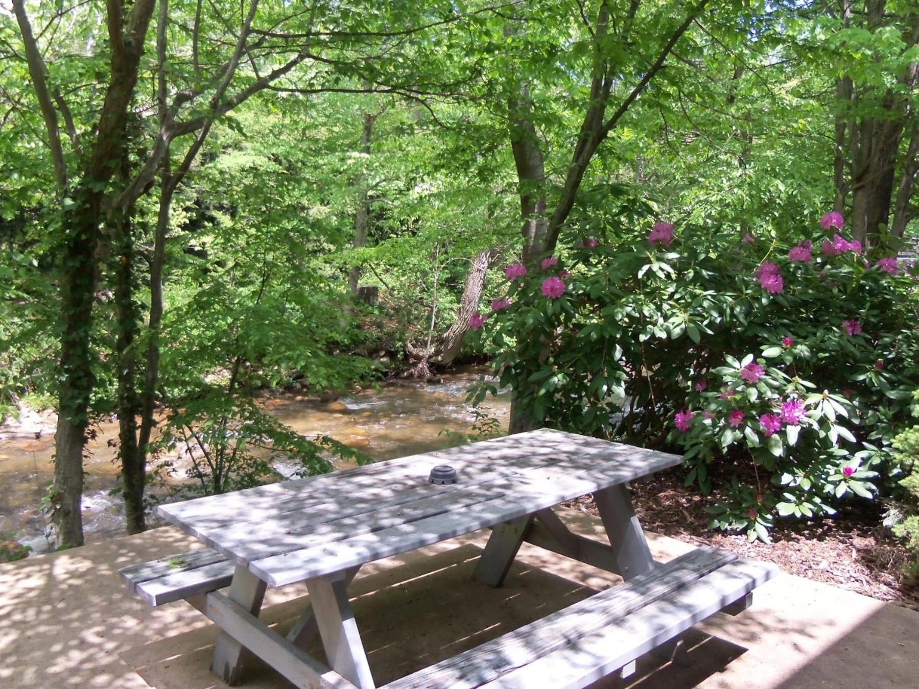 Queen with Two Queen Beds Creekside Kitchenette photo 3
