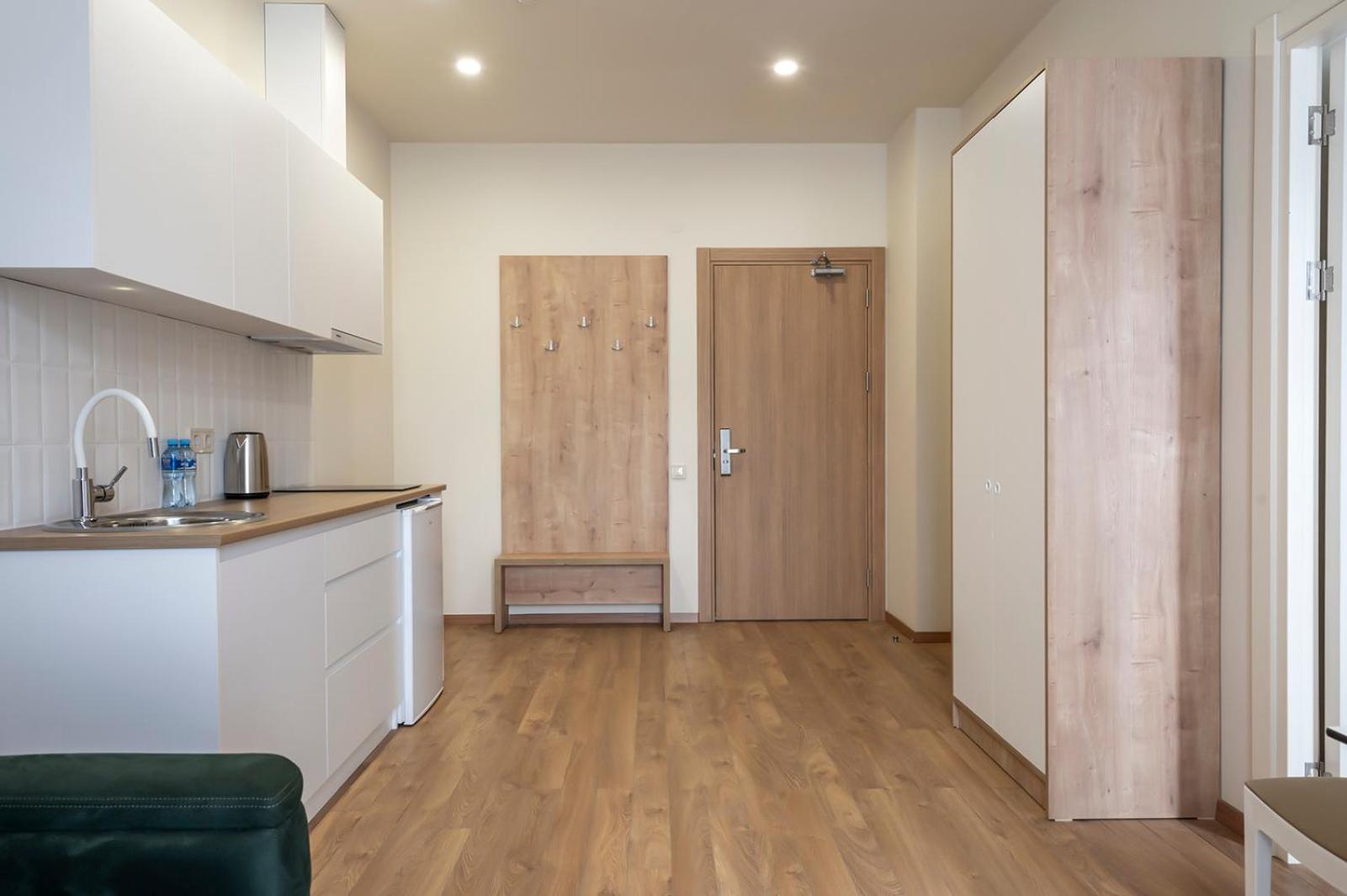 One-Bedroom Apartment photo 3