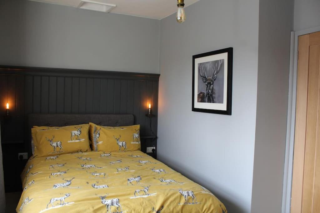 One-Bedroom House photo 3