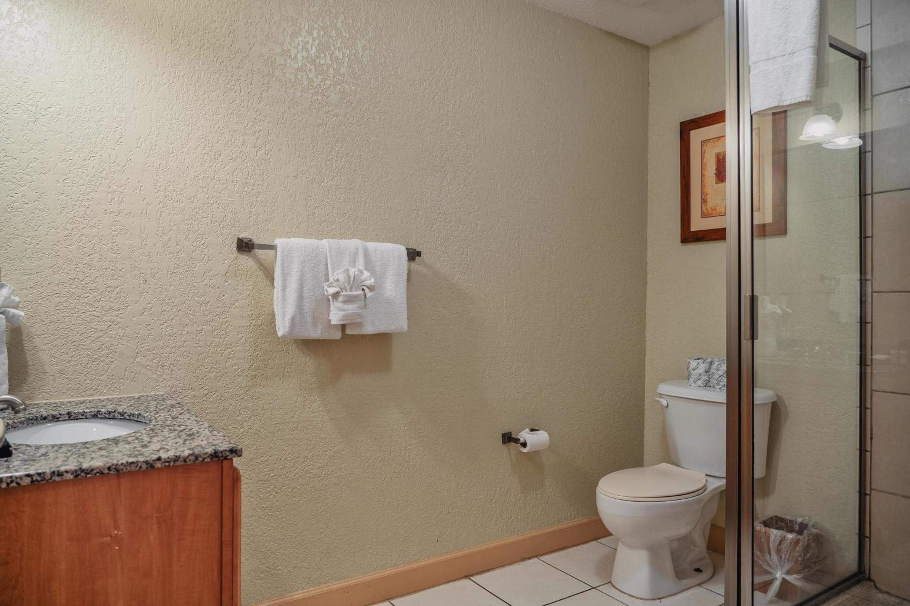 Three-Bedroom Condo - Photo 19