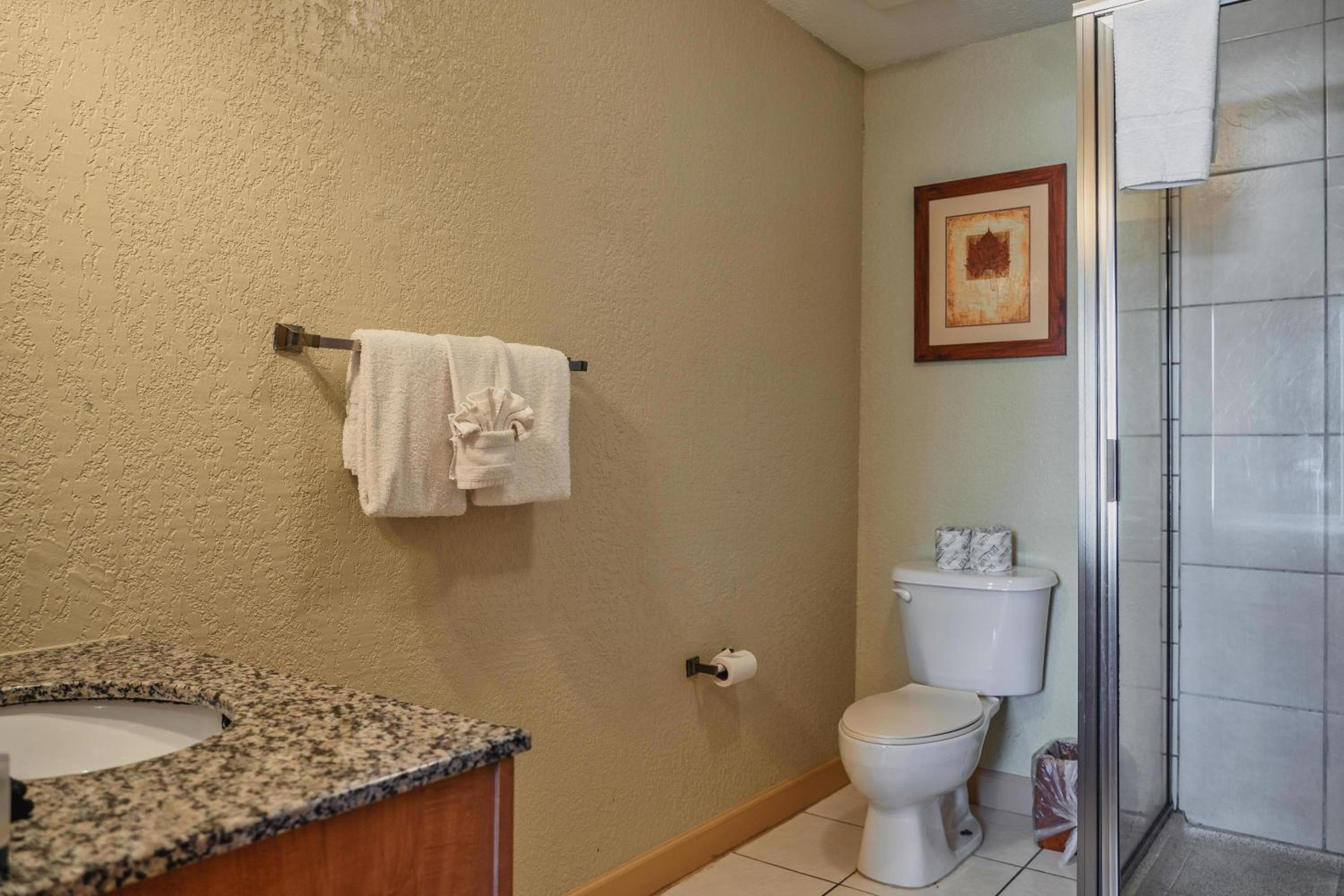 Three-Bedroom Condo - Photo 18
