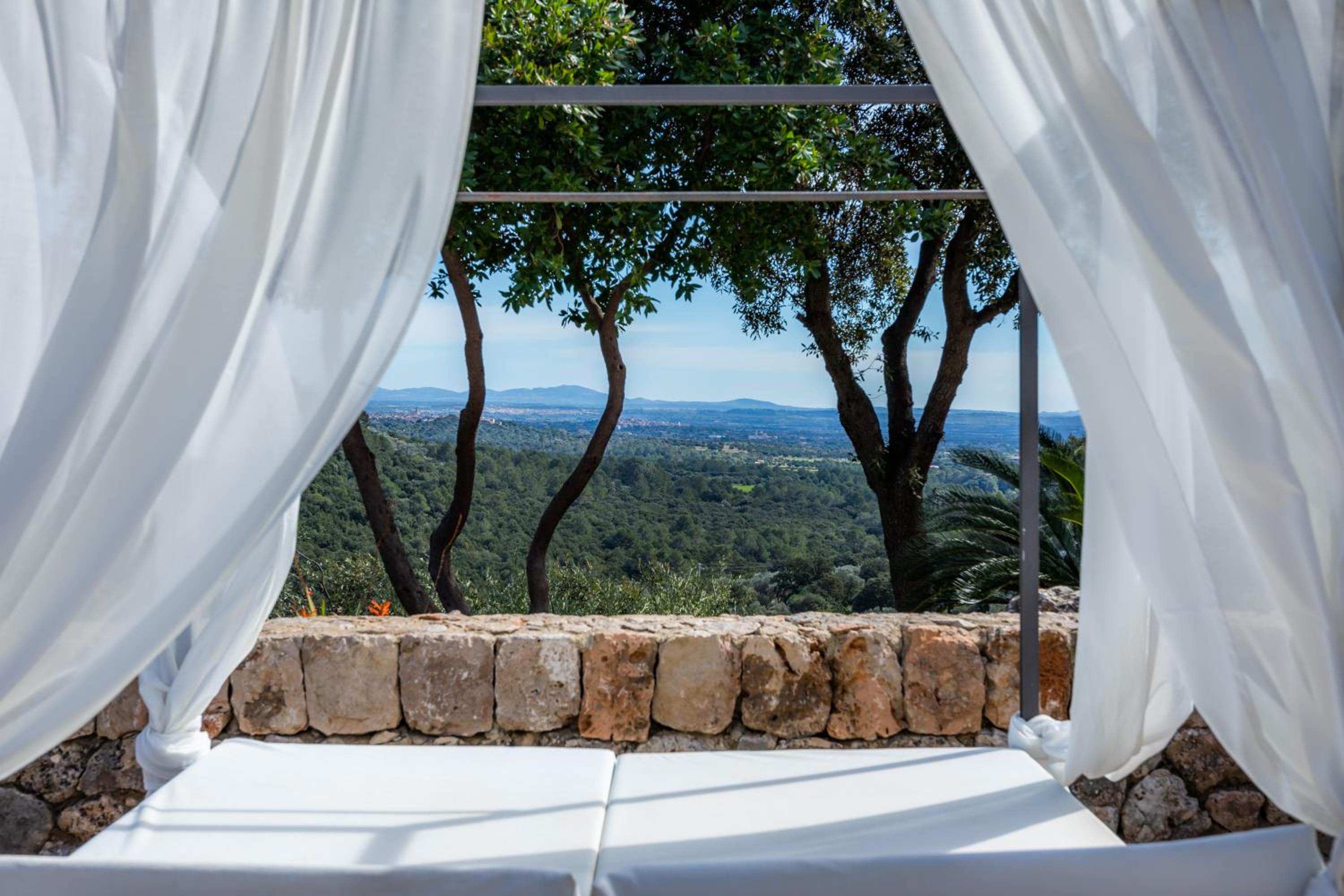 Premium Suite - Photo 12